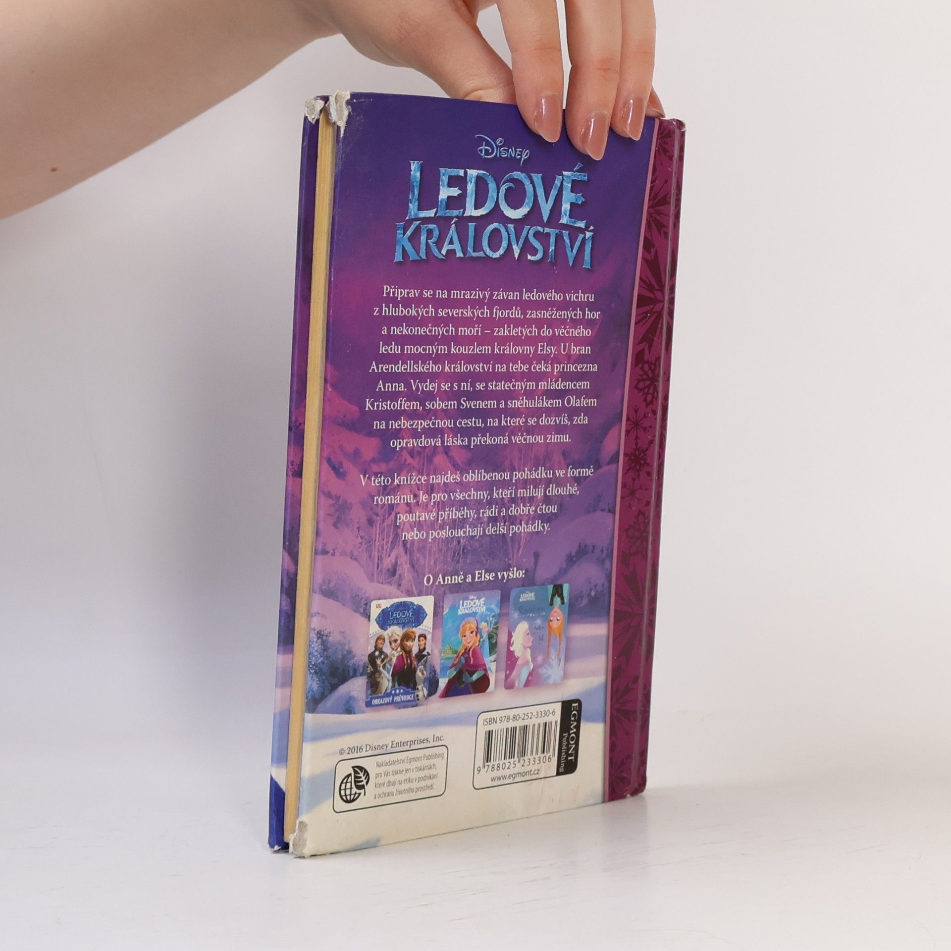 Sarah Nathan Ledové království: Pohádkový román