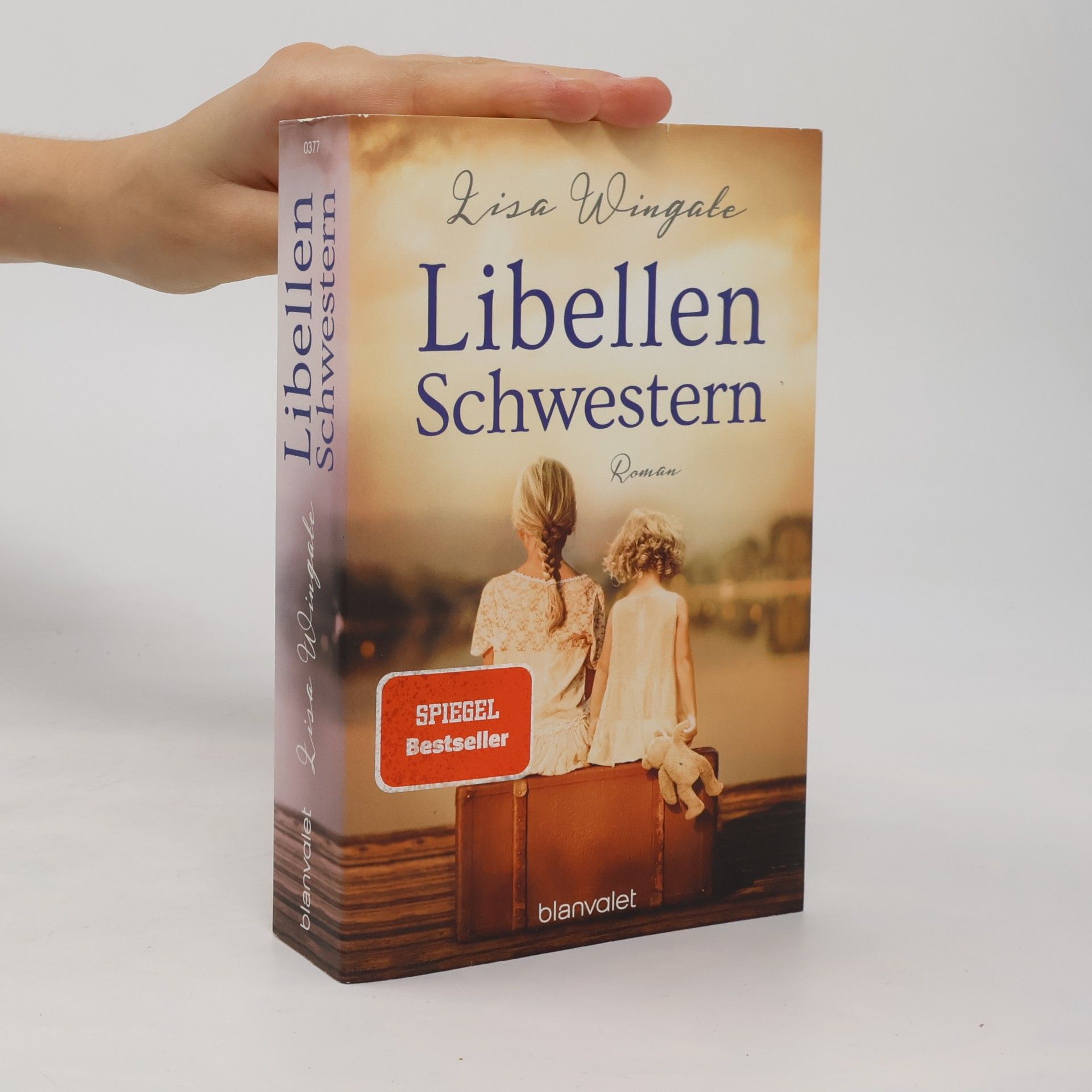 Lisa Wingate Libellenschwestern