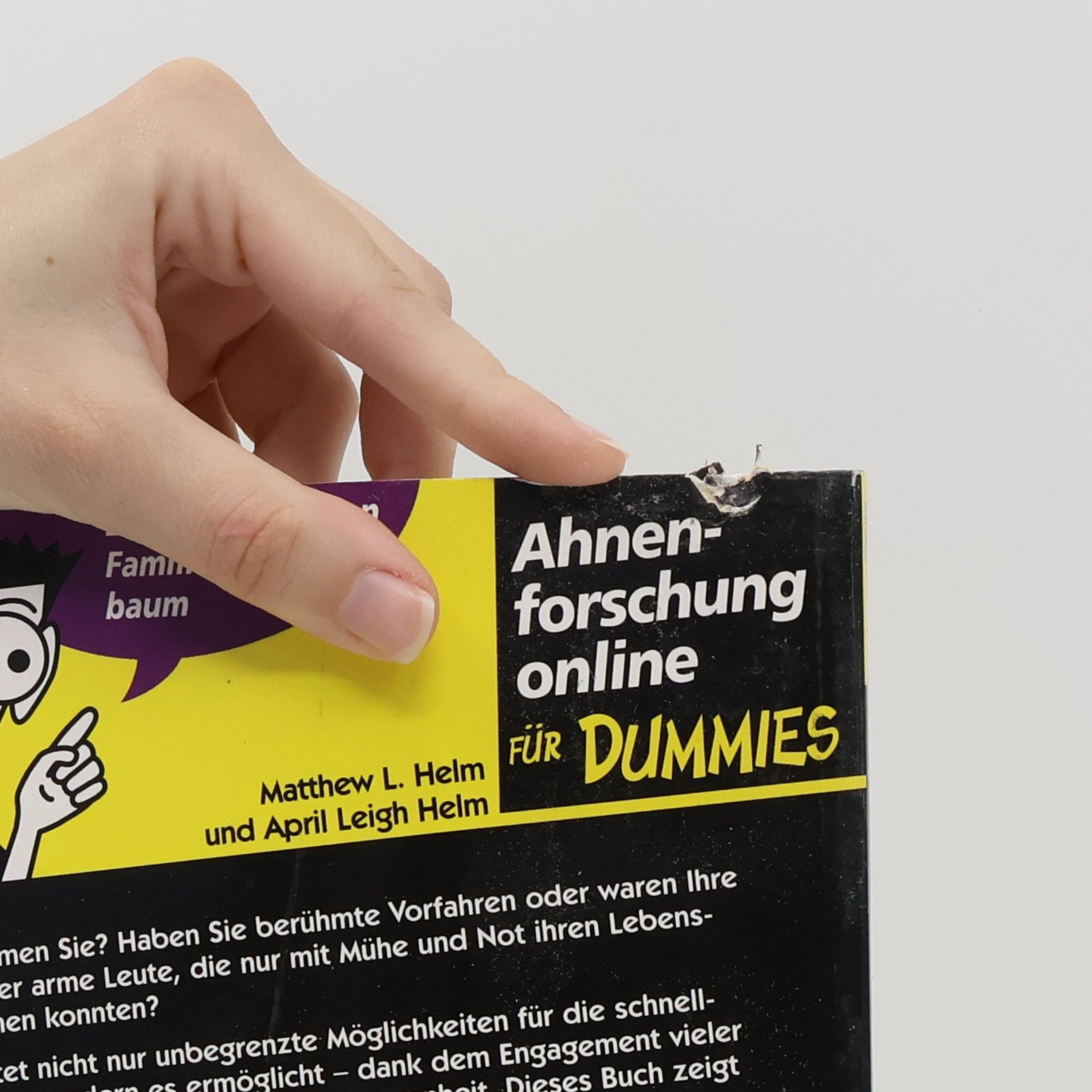 Matthew L. Helm Ahnenforschung online für Dummies