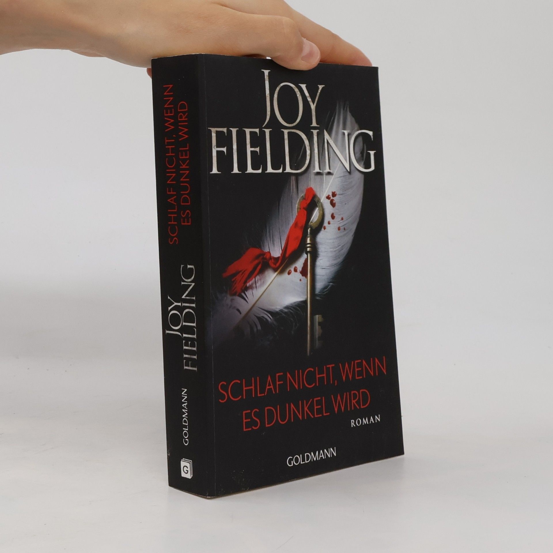Joy Fielding Schlaf nicht, wenn es dunkel wird