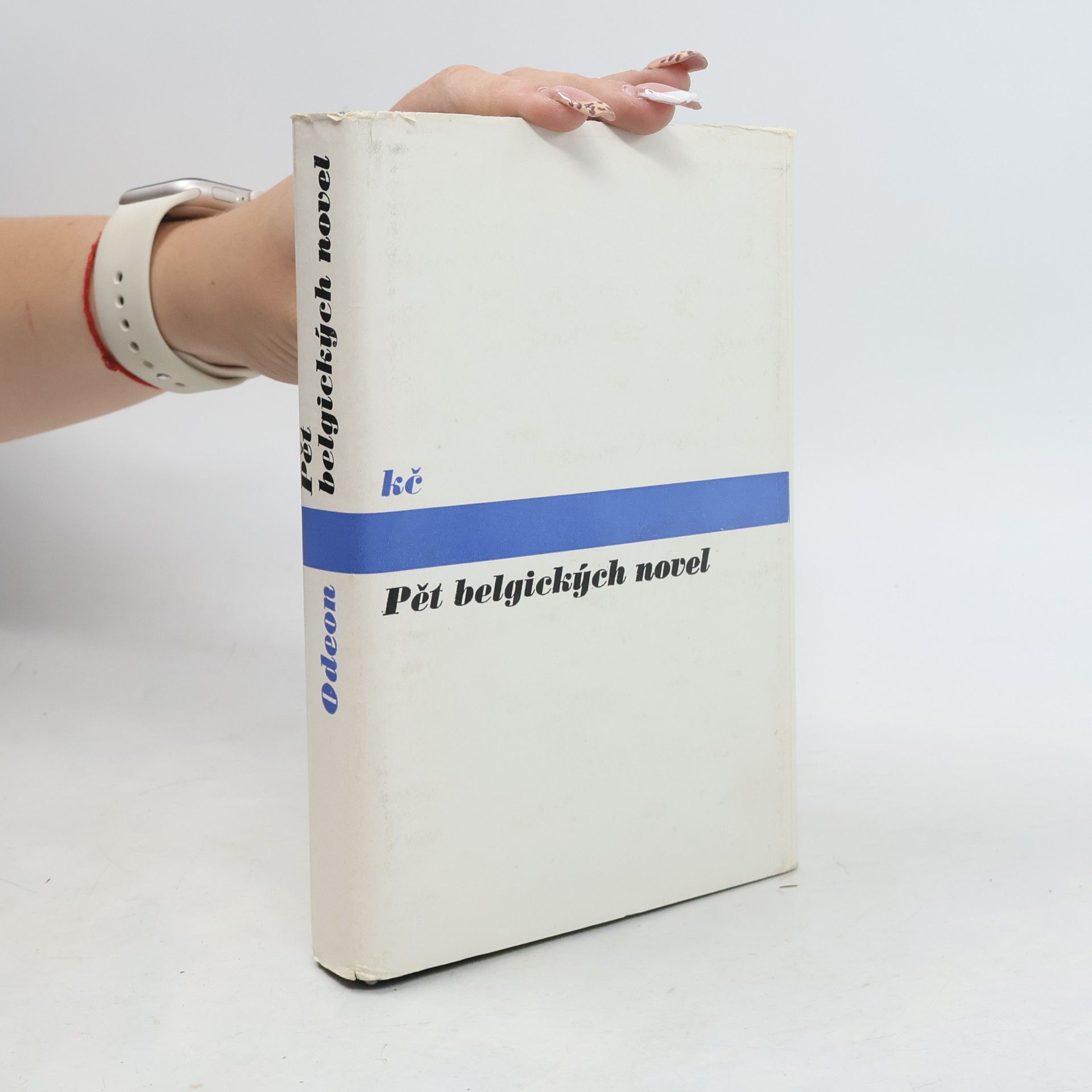 Autorenkollektiv Pět belgických novel