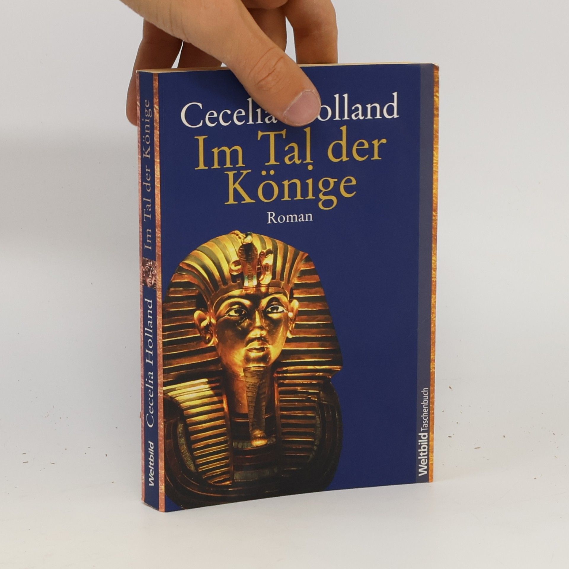 Cecelia Holland Im Tal der Könige