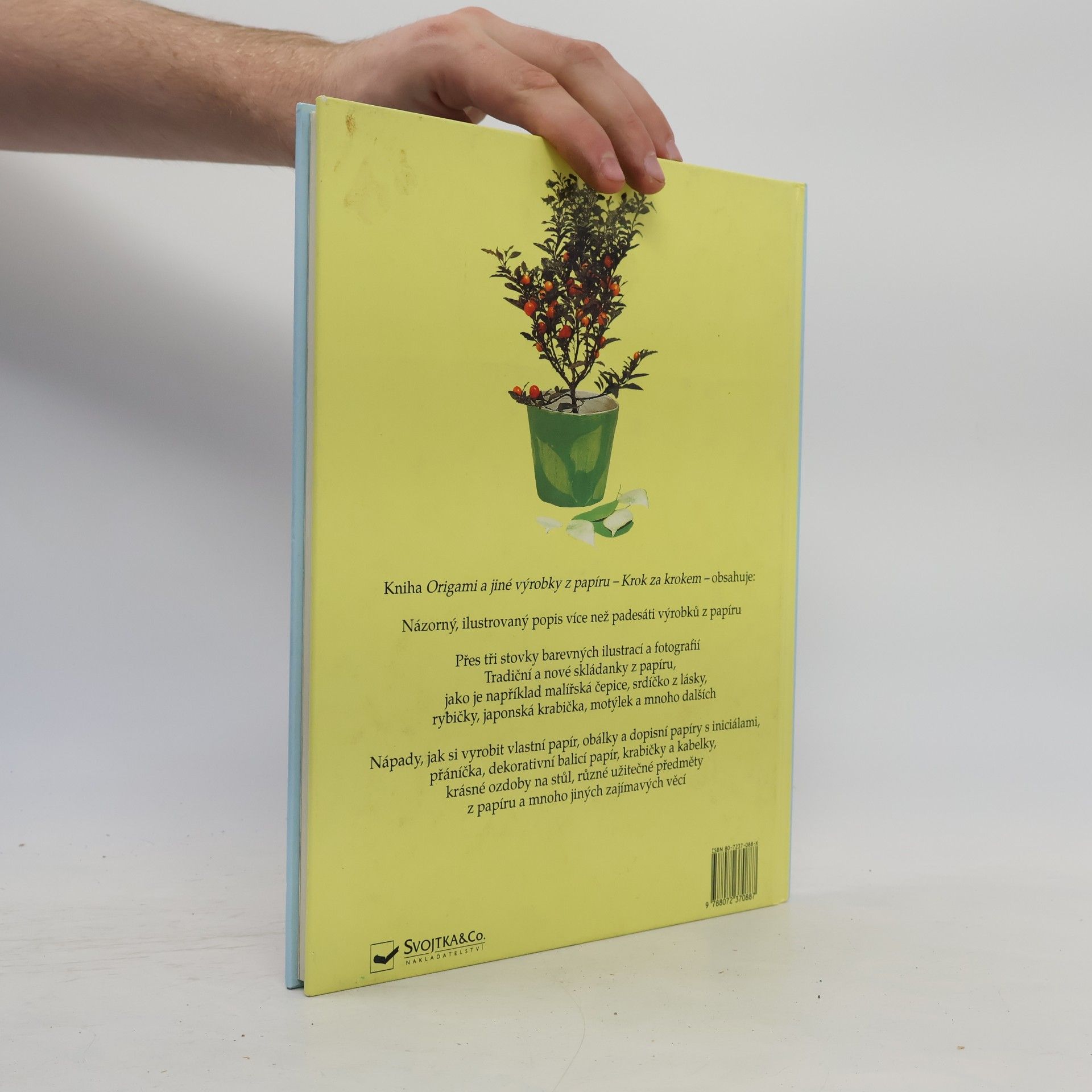 Paul Jackson Každý to zvládne: origami a jiné výrobky z papíru krok za krokem