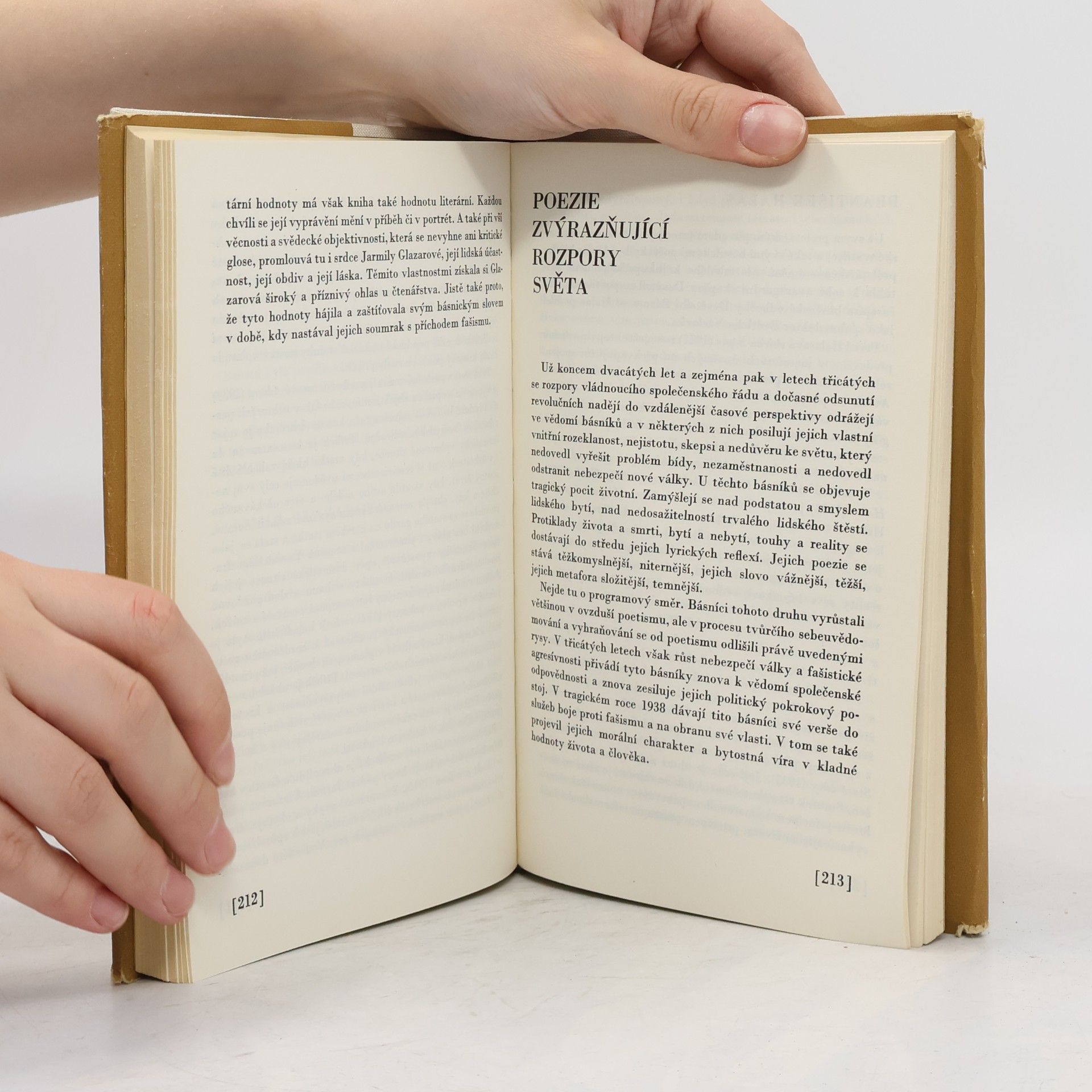František Buriánek Česká literatura první poloviny XX. století