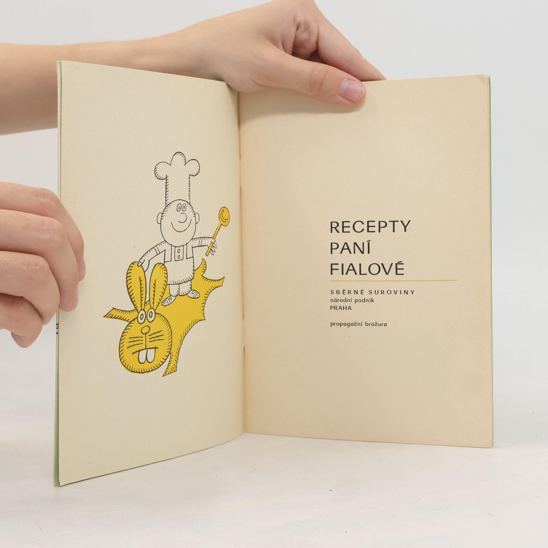 Kolektiv autorů Recepty paní Fialové