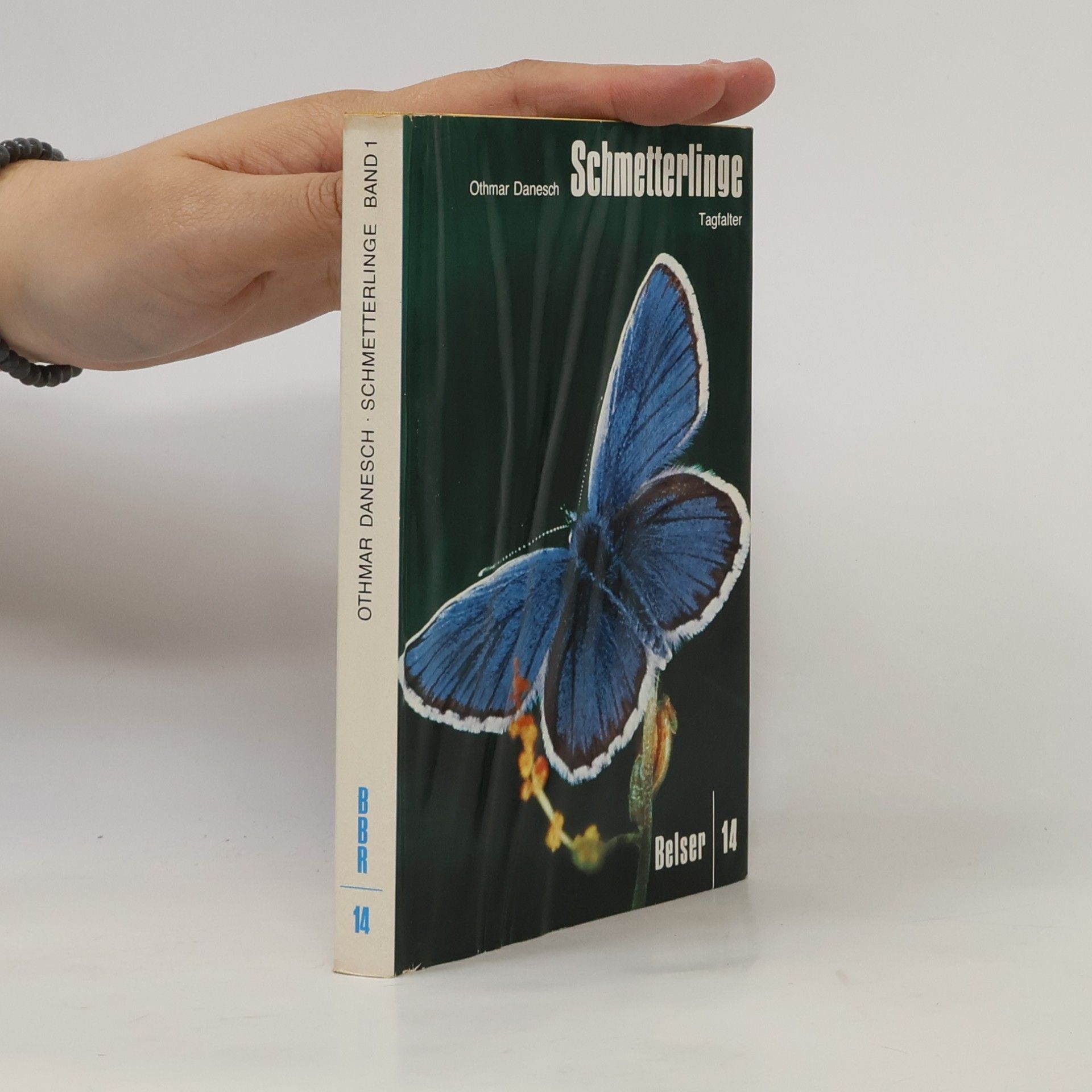 Schmetterlinge Tag und Nachtfalter