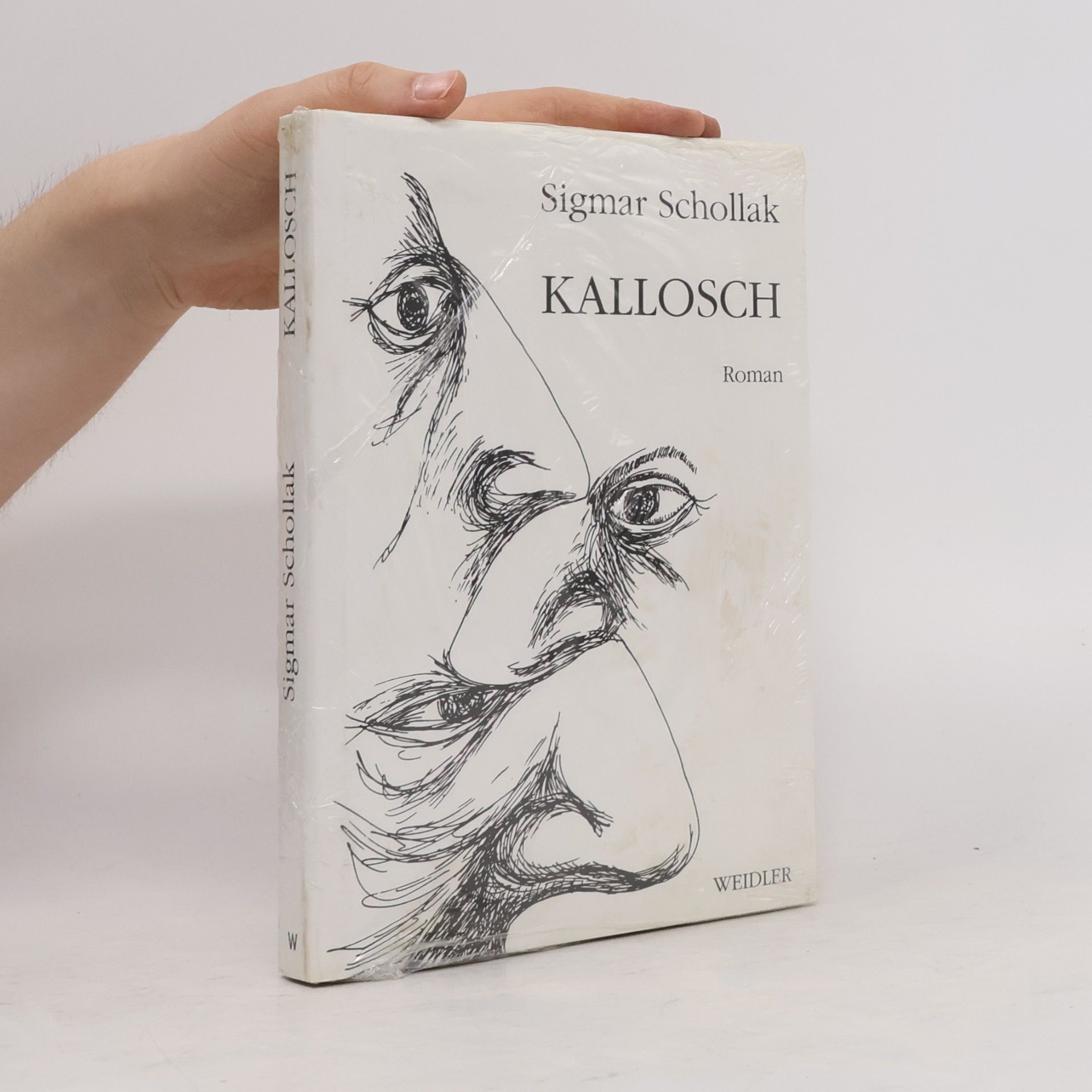 Sigmar Schollak Kallosch