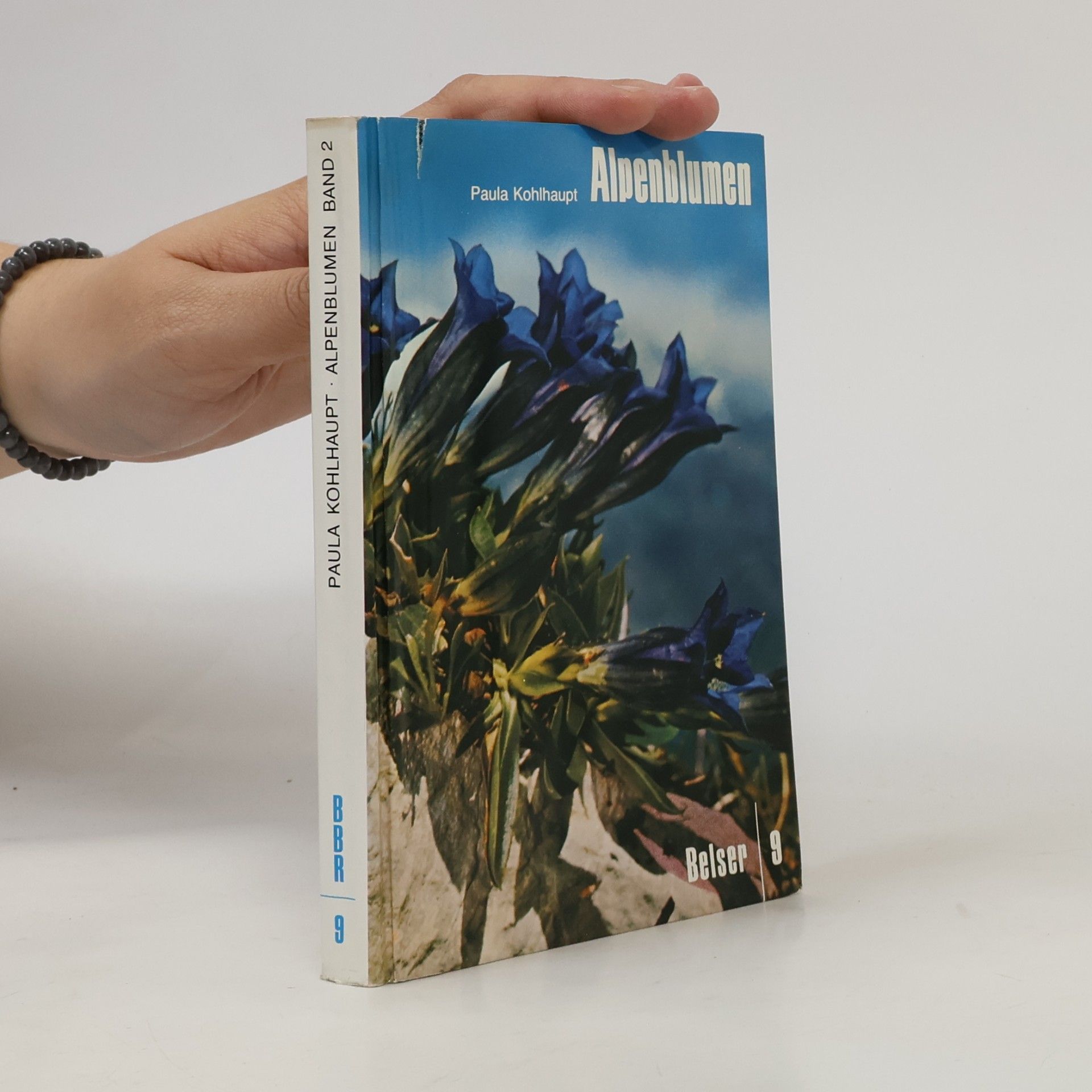 Paula Kohlhaupt Alpenblumen