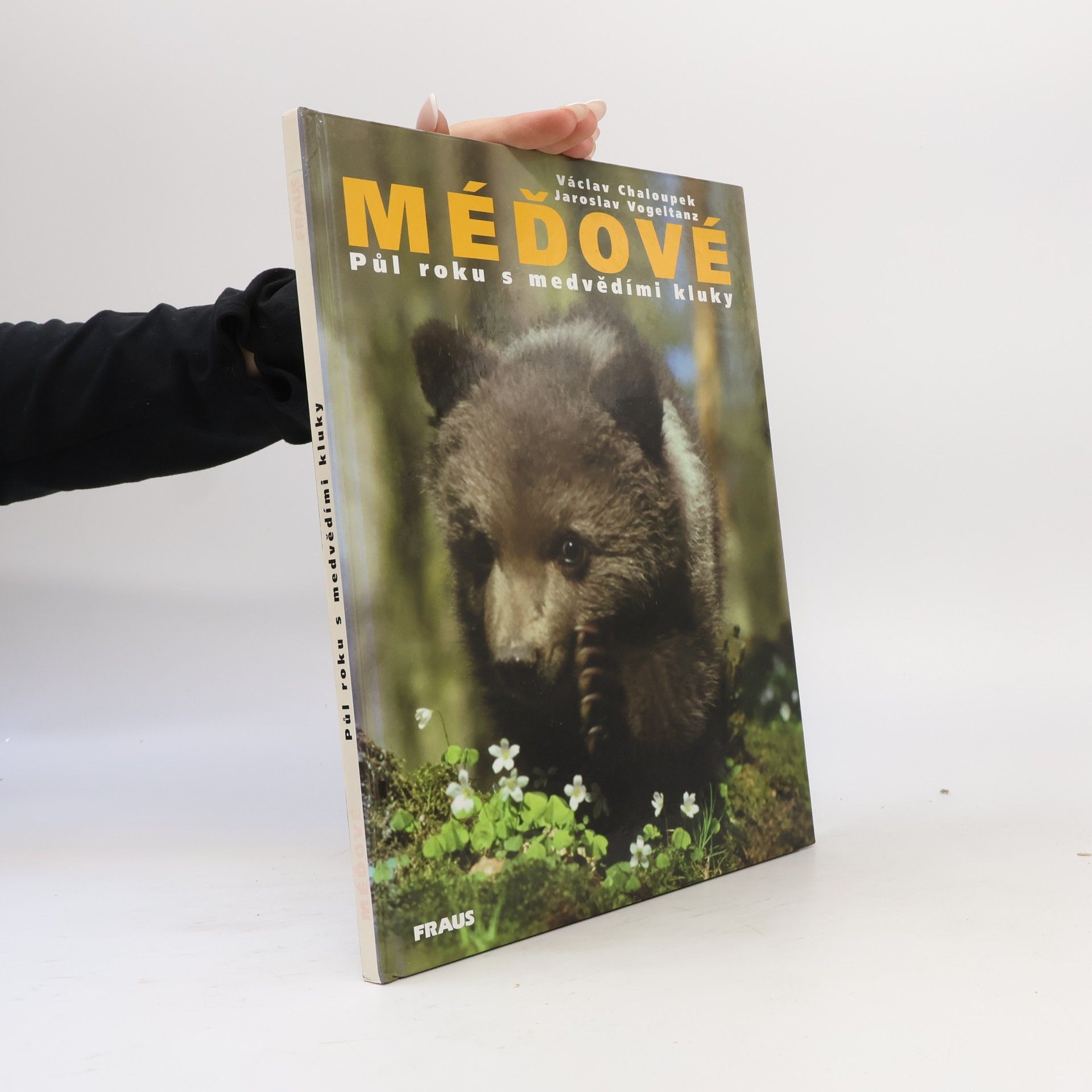 Václav Chaloupek Méďové. Půl roku s medvědími kluky