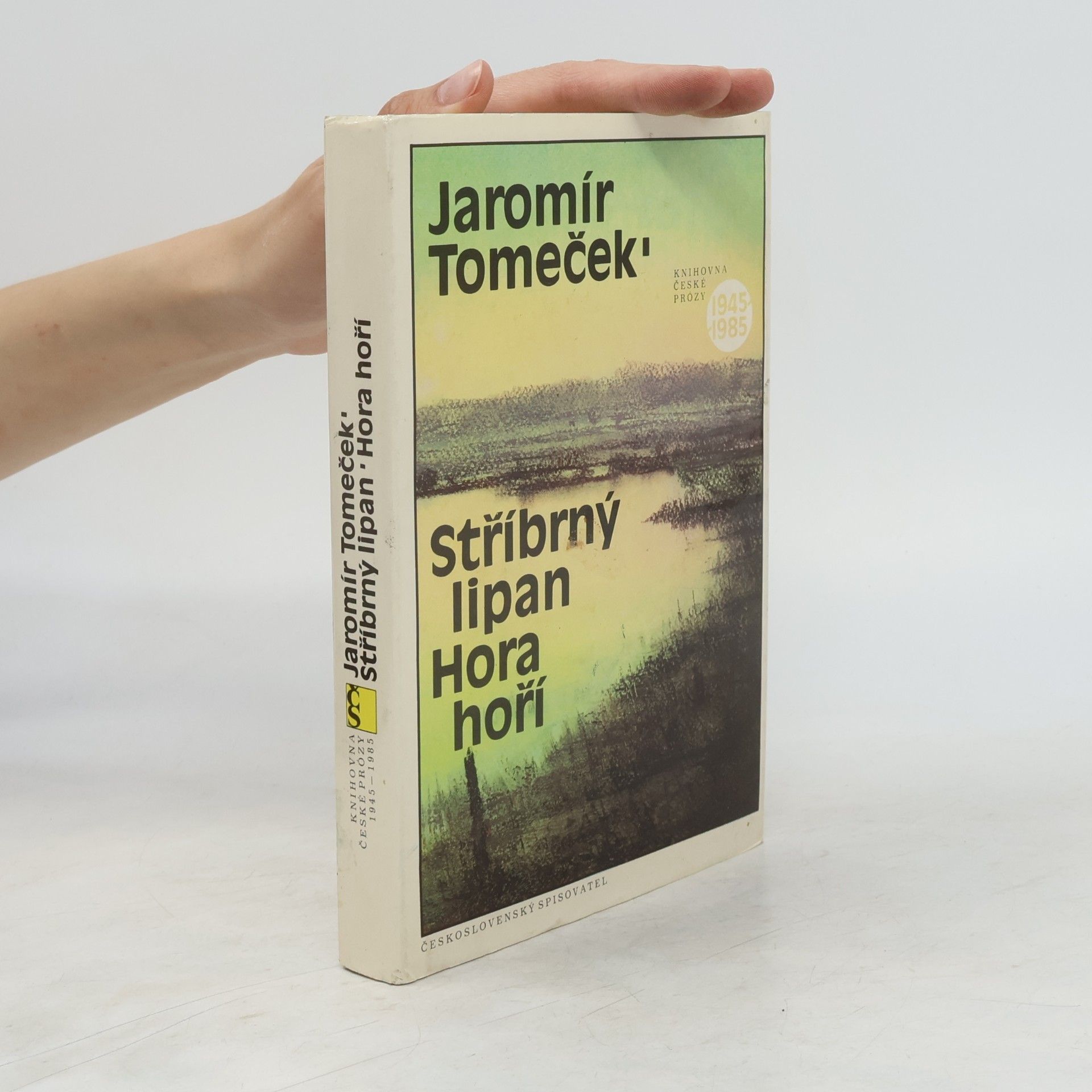 Sylva Bartůšková Stříbrný lipan. Hora hoří.