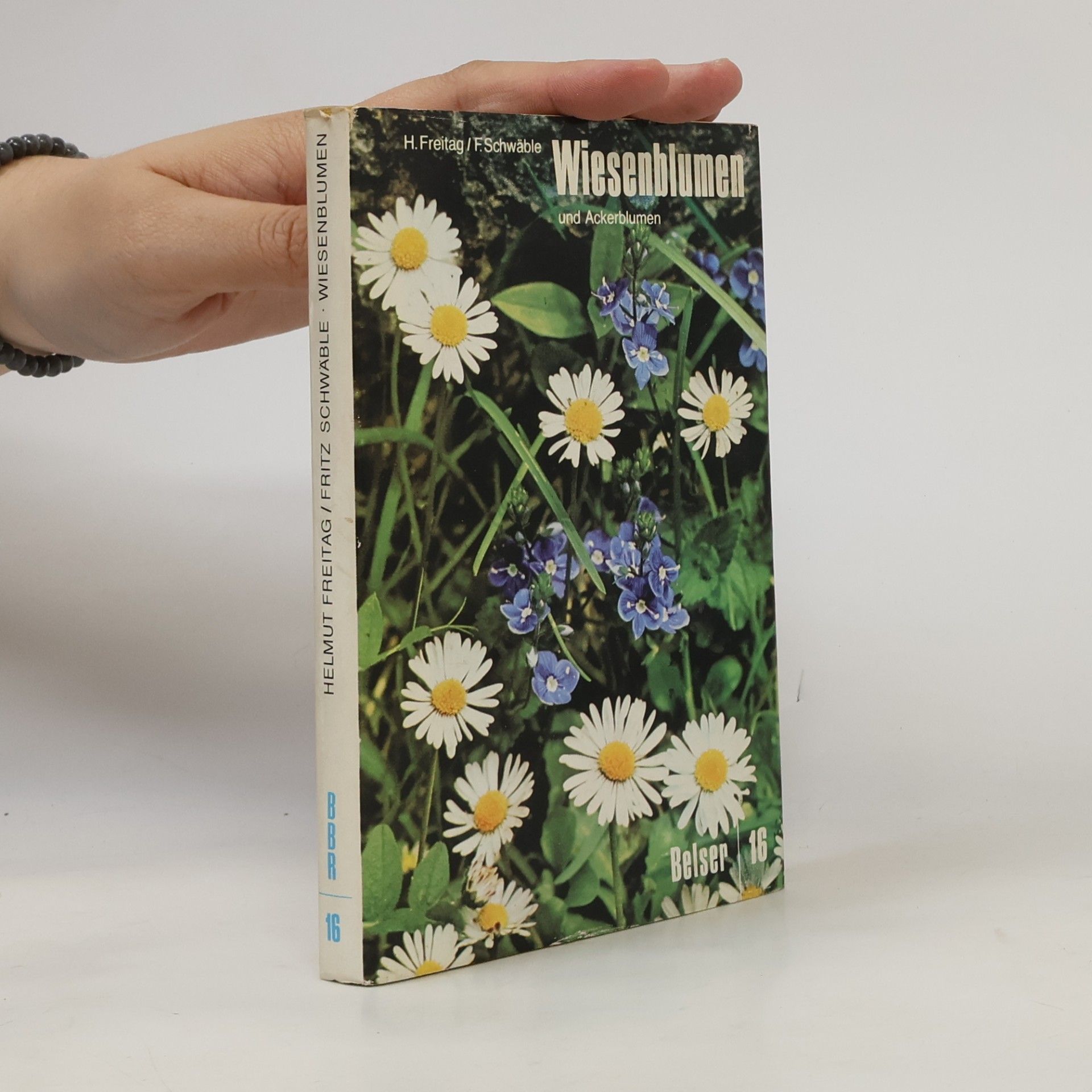 Wiesenblumen und Ackerblumen 