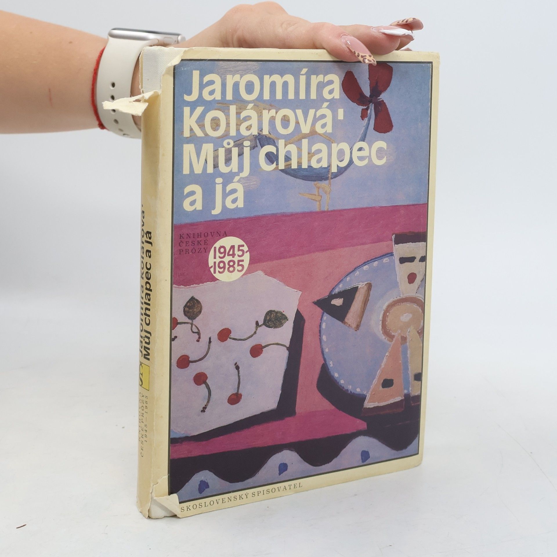 Jaromíra Kolárová Můj chlapec a já