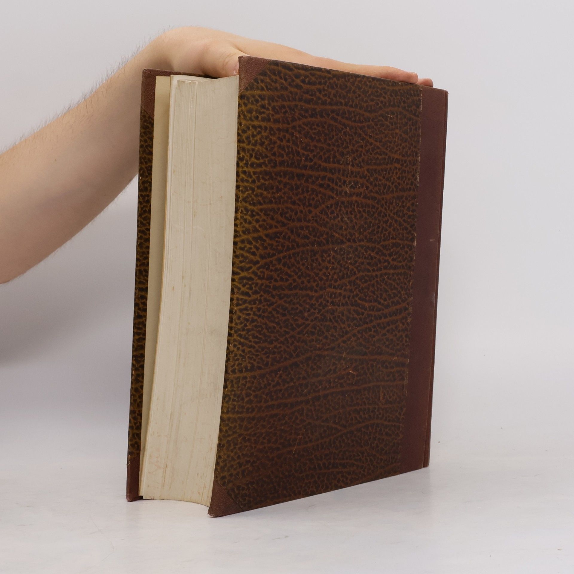 Auteurscollectief Handbuch der inneren Medizin 1