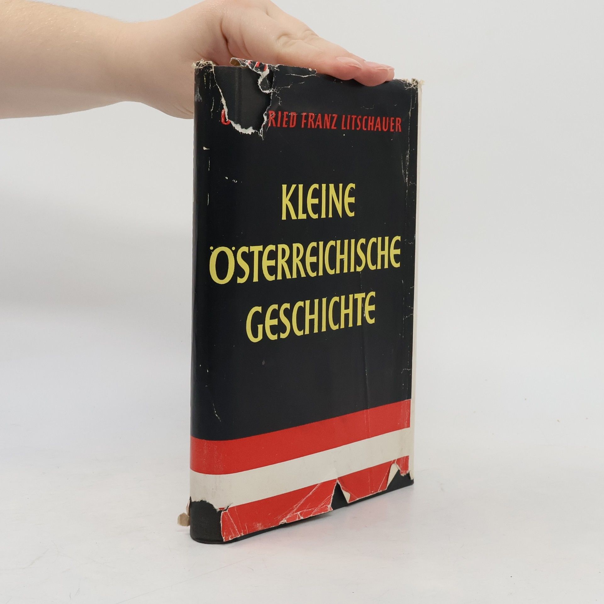 Autorenkollektiv Kleine österreichische Geschichte