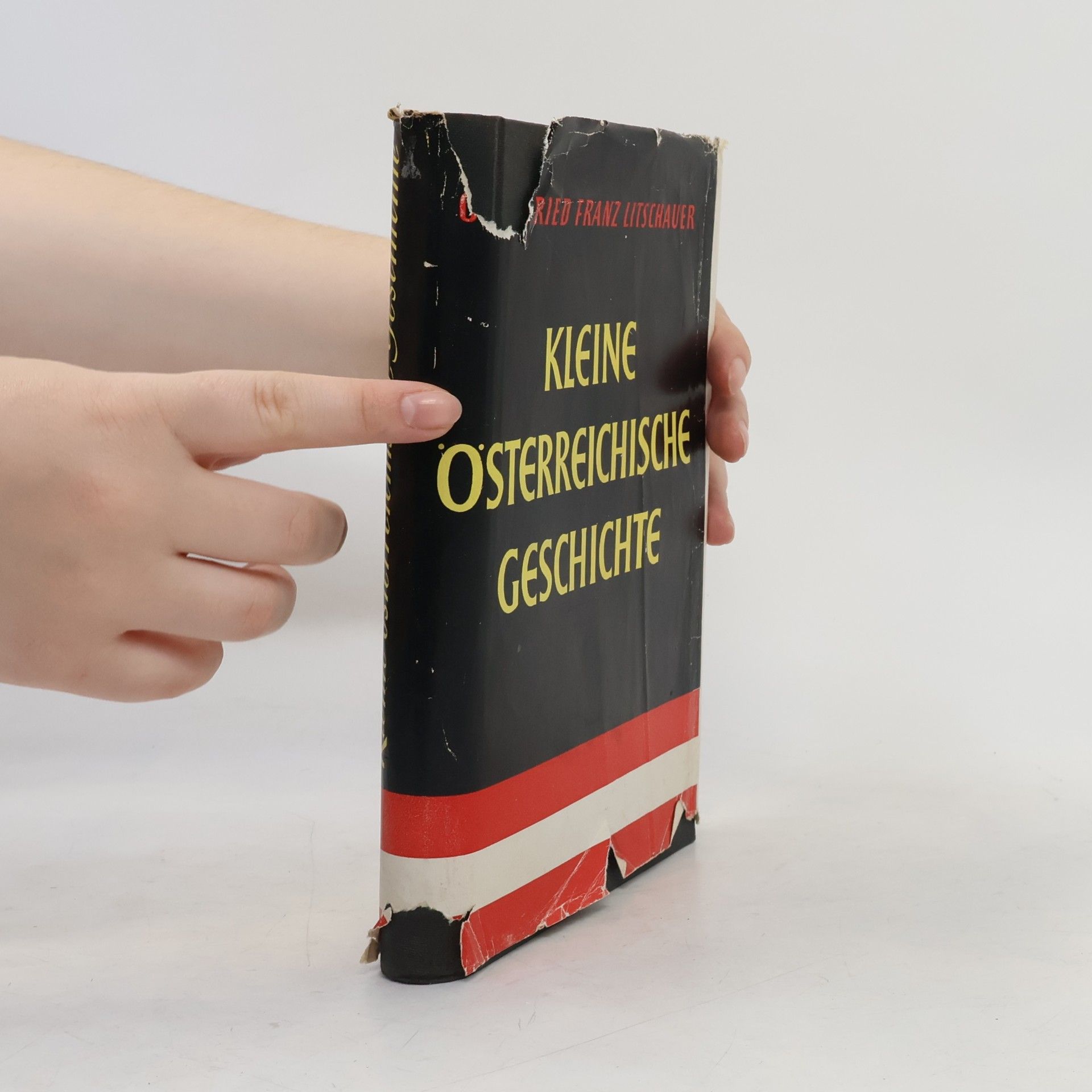Autorenkollektiv Kleine österreichische Geschichte