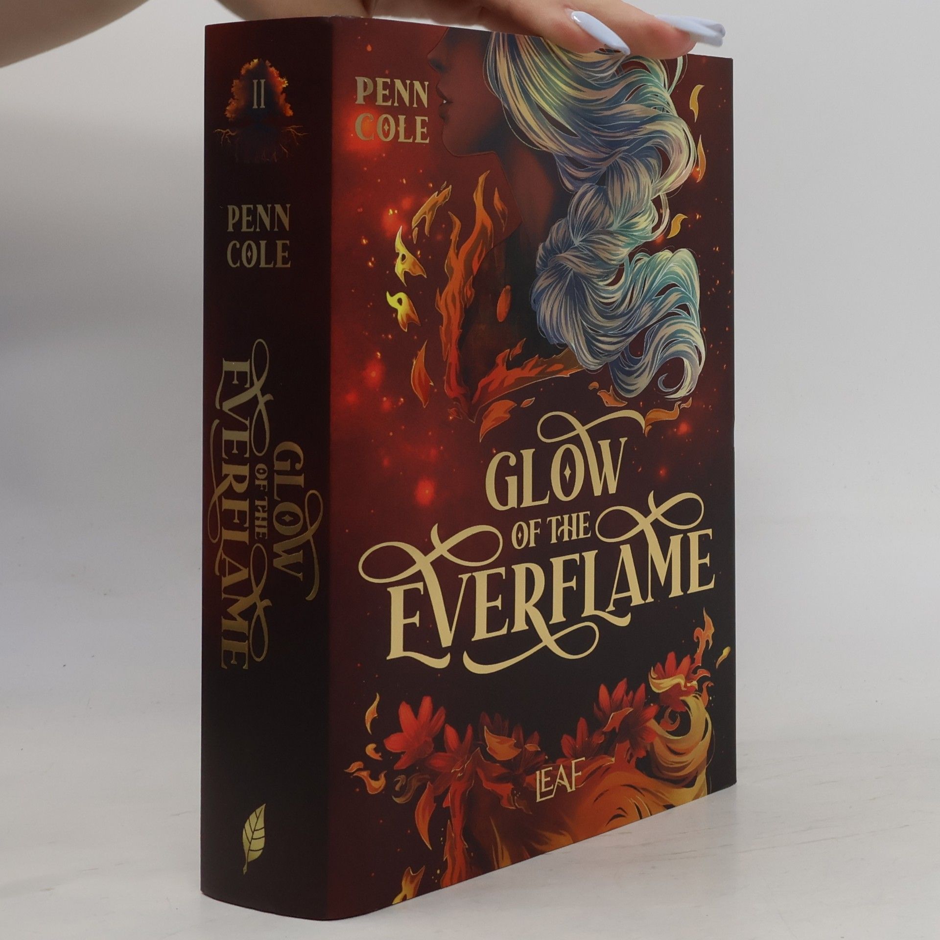 Penn Cole Glow of the Everflame / Kindred´s Curse Saga Bd.2