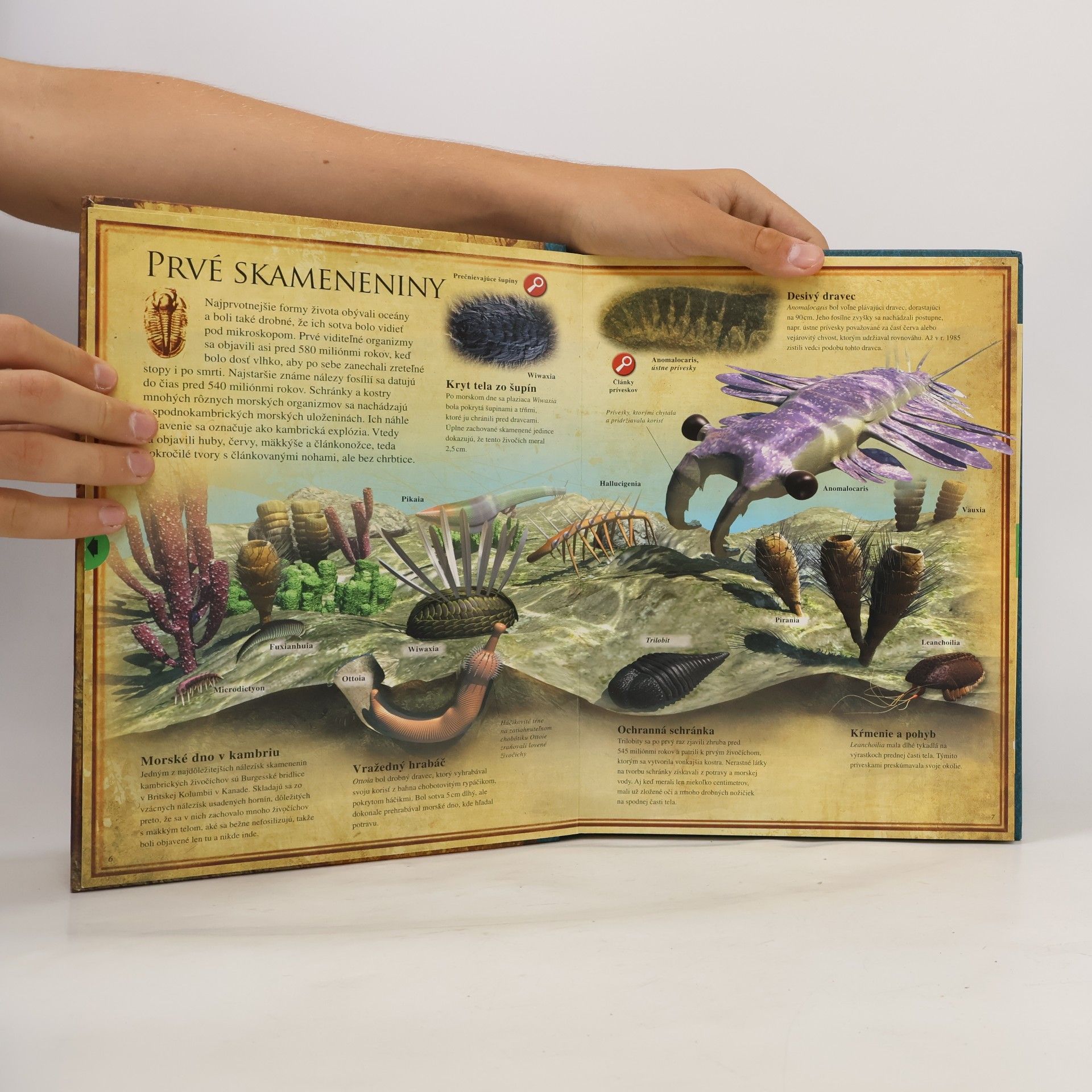 Autorenkollektiv Pod Lupou: Dinosaury
