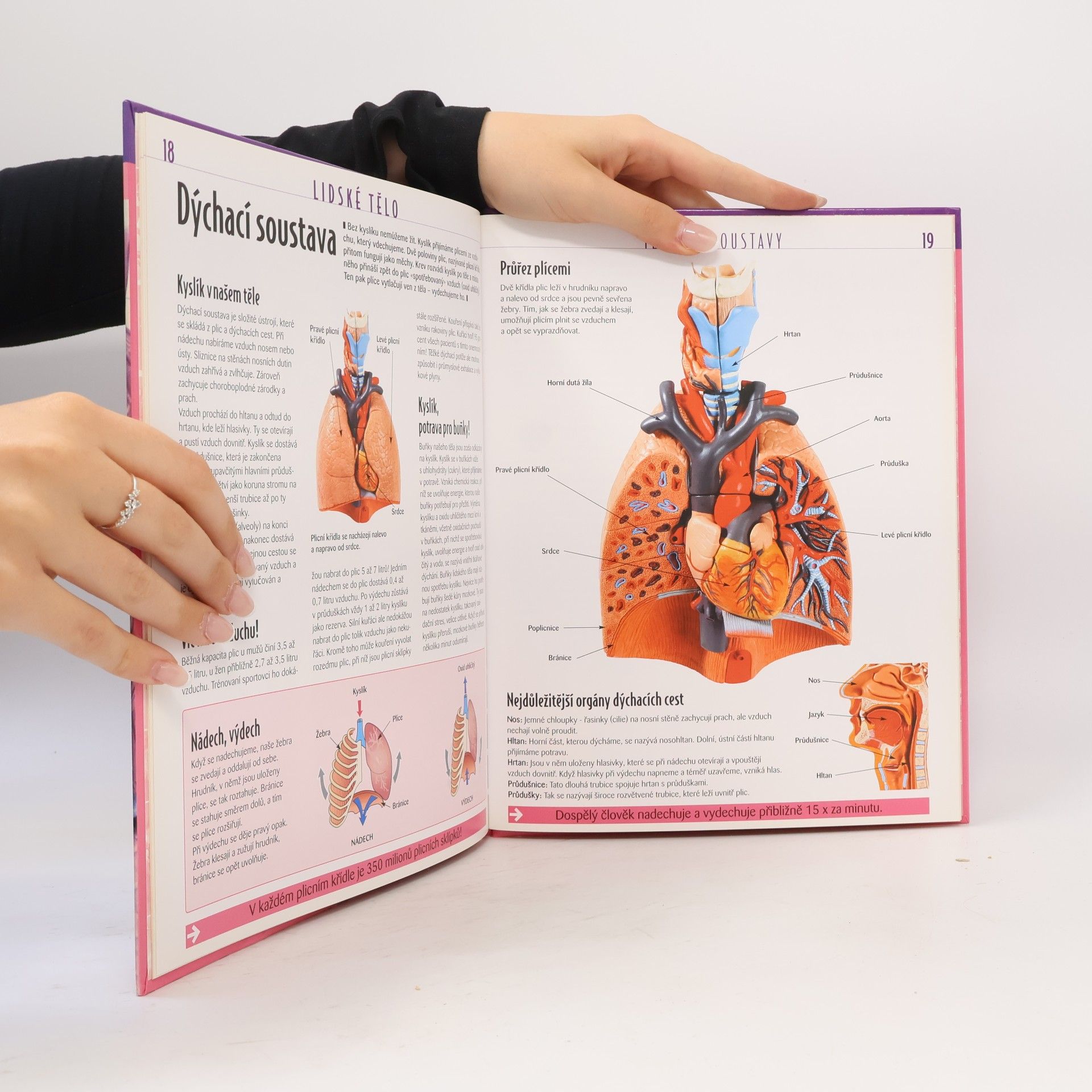Autores varios Atlas pro mládež. Lidské tělo
