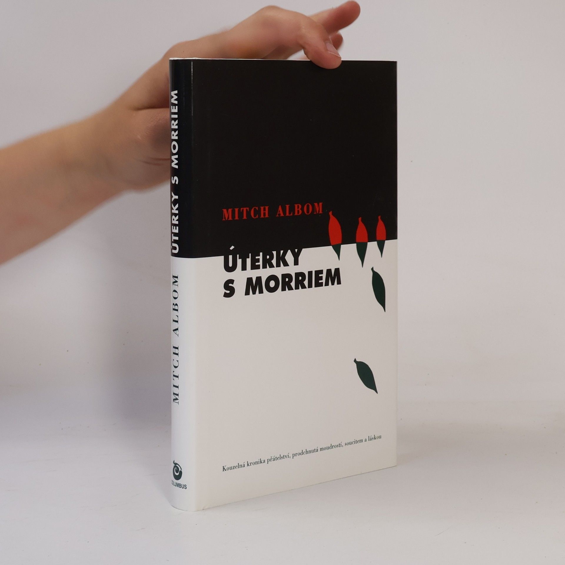 Mitch Albom Úterky s Morriem