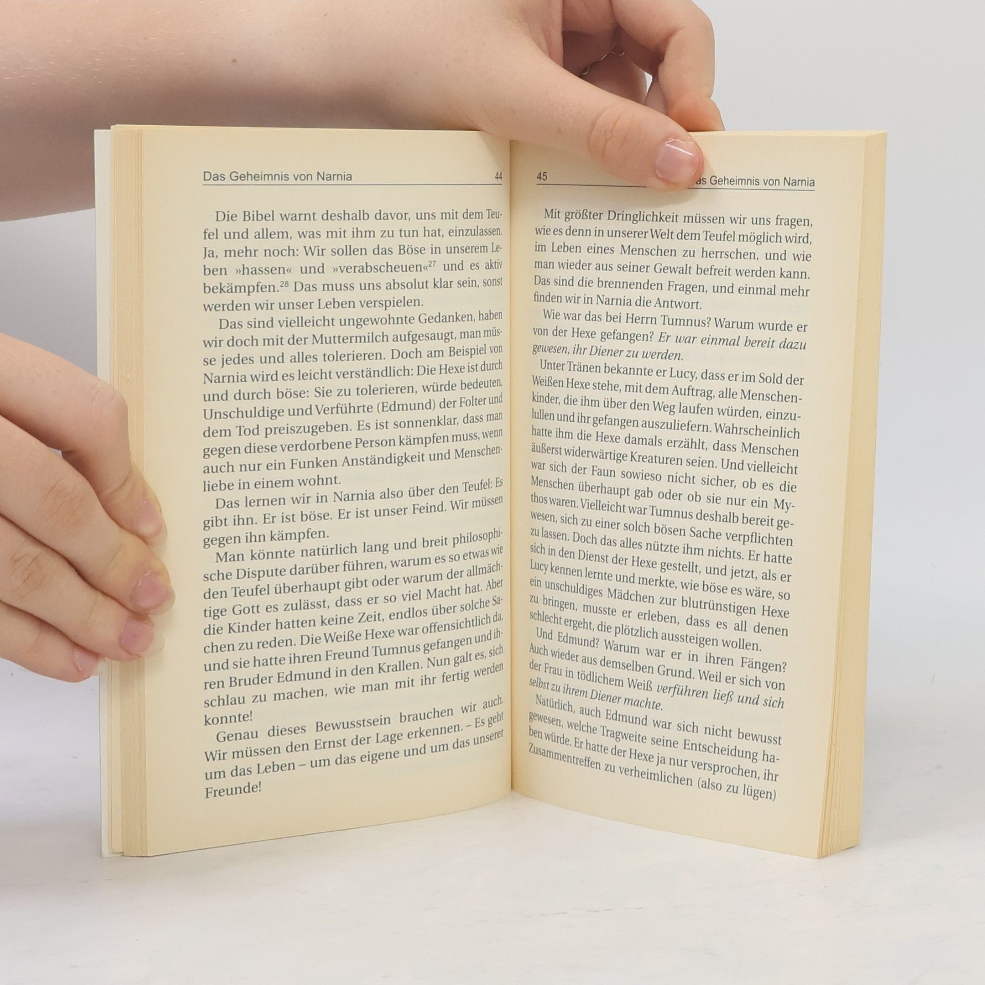 Michael Stricker Das Geheimnis von NArnia