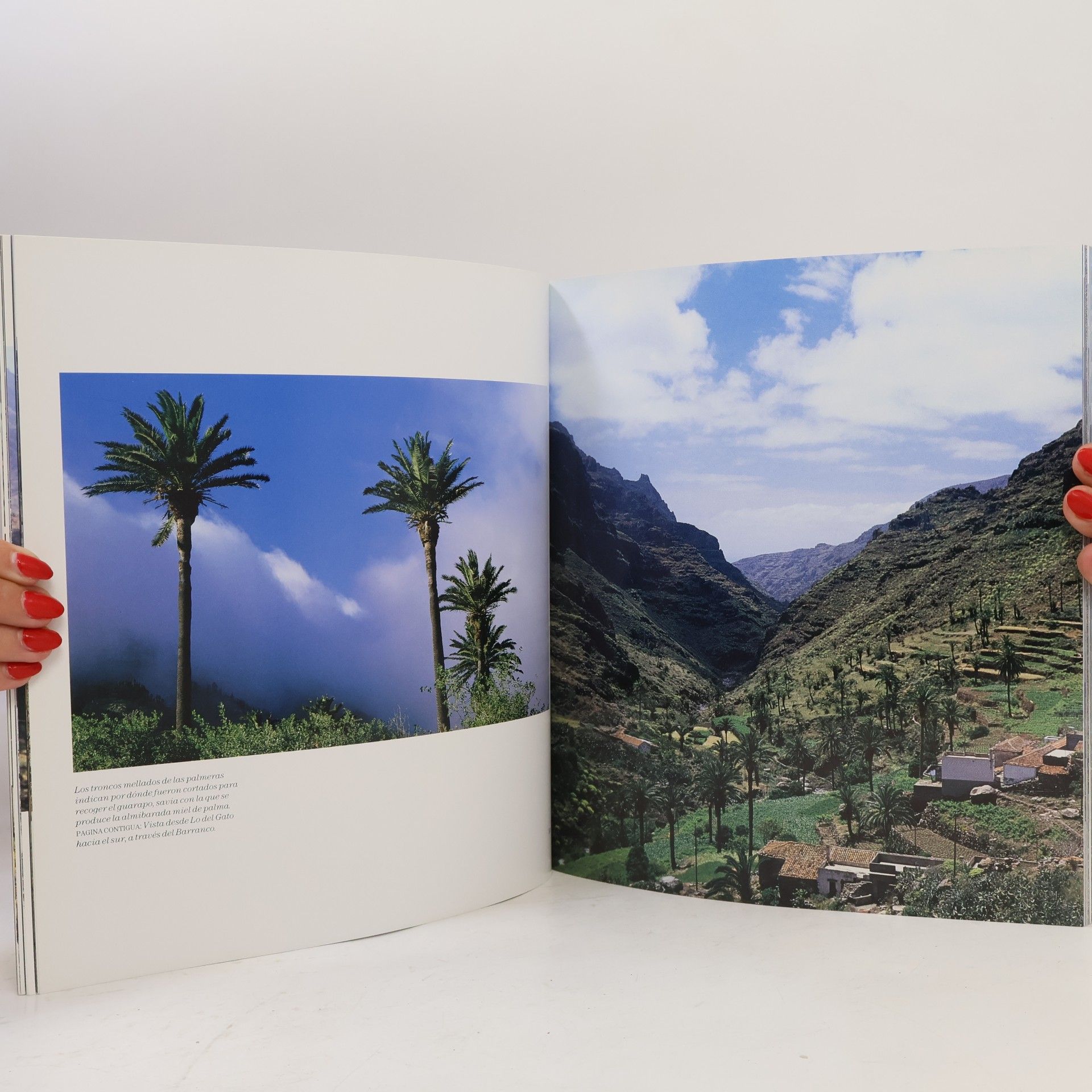Kristine Edle Olsen La Gomera