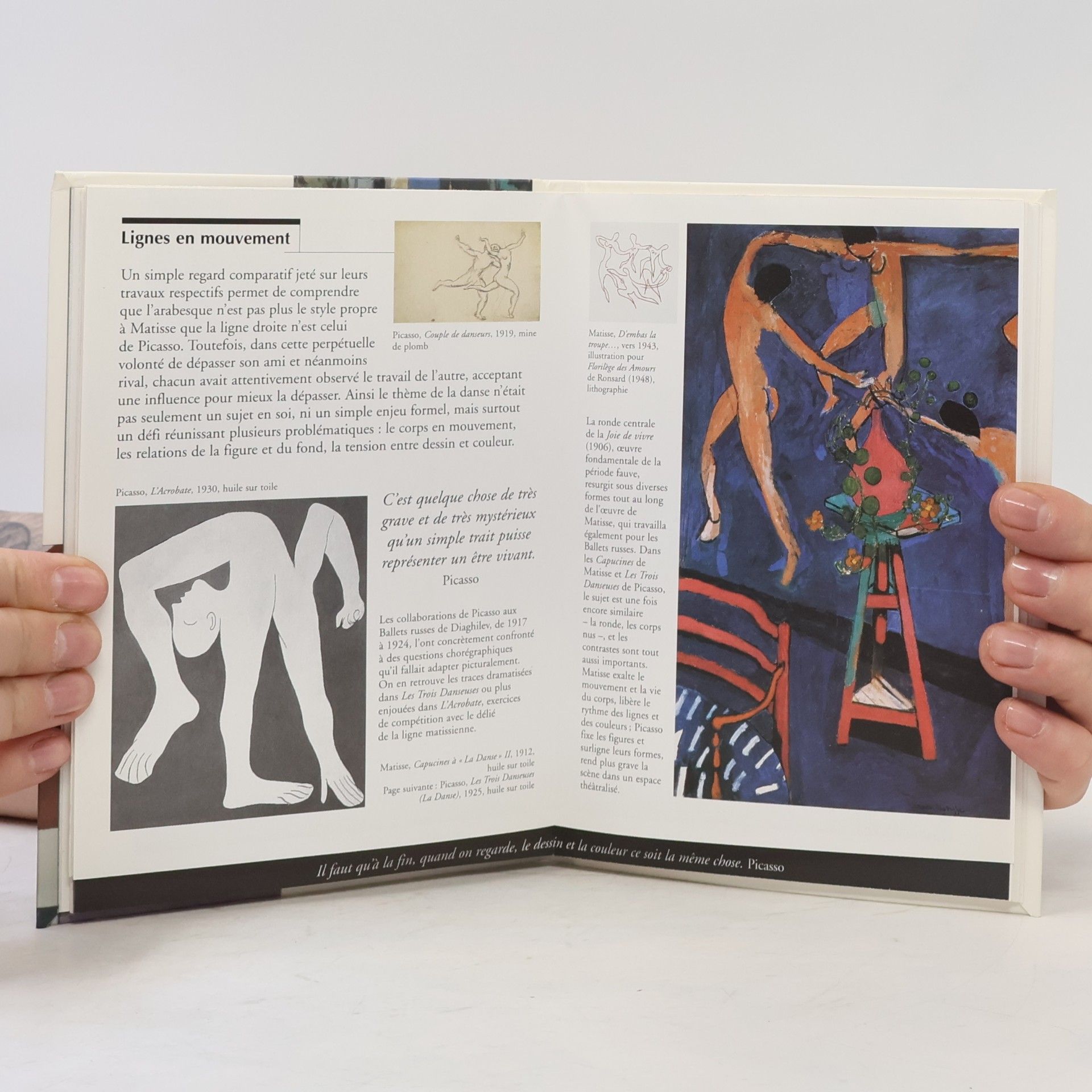 Jacinto Lageira Hors Série Découvertes Gallimard: Matisse Picasso
