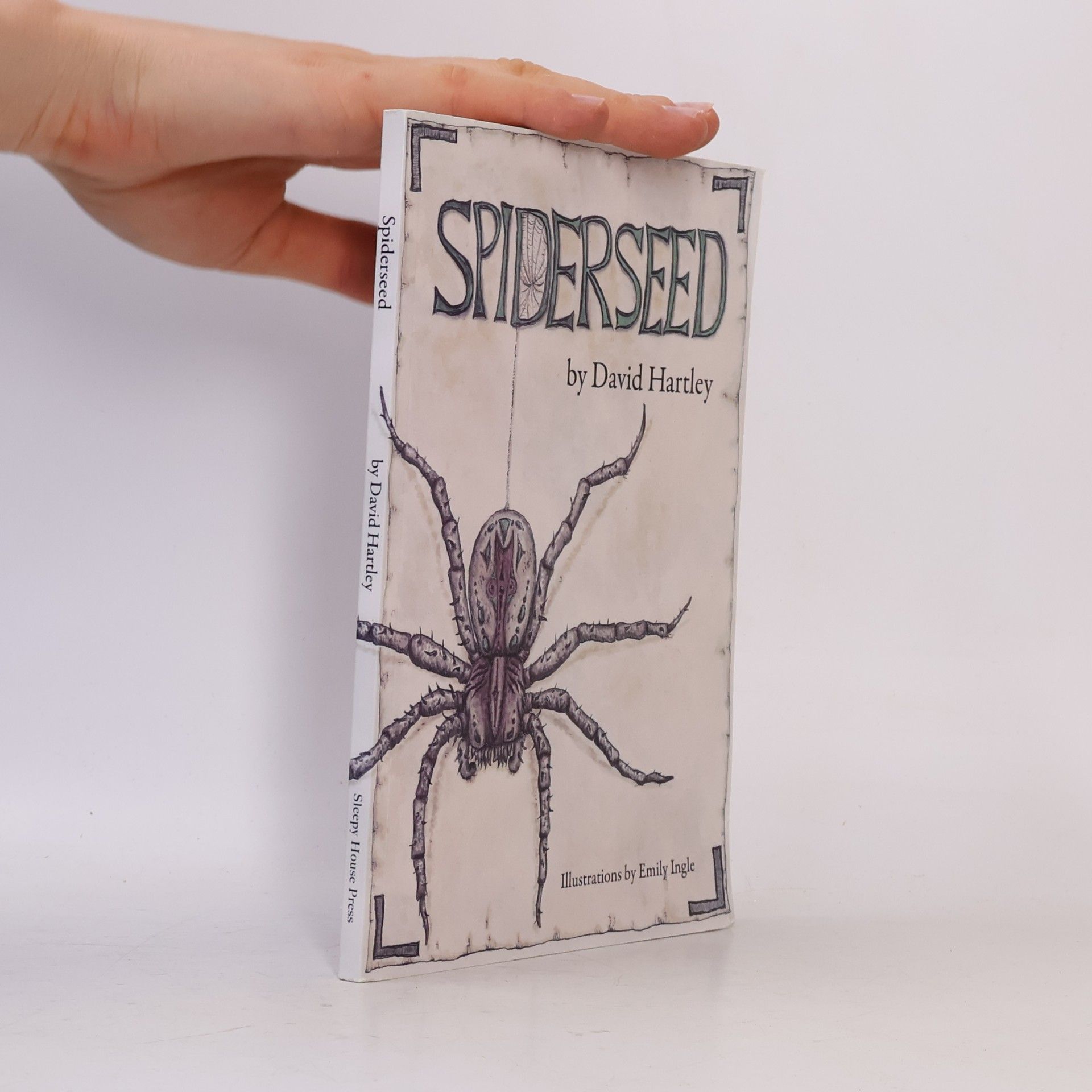Spiderseed