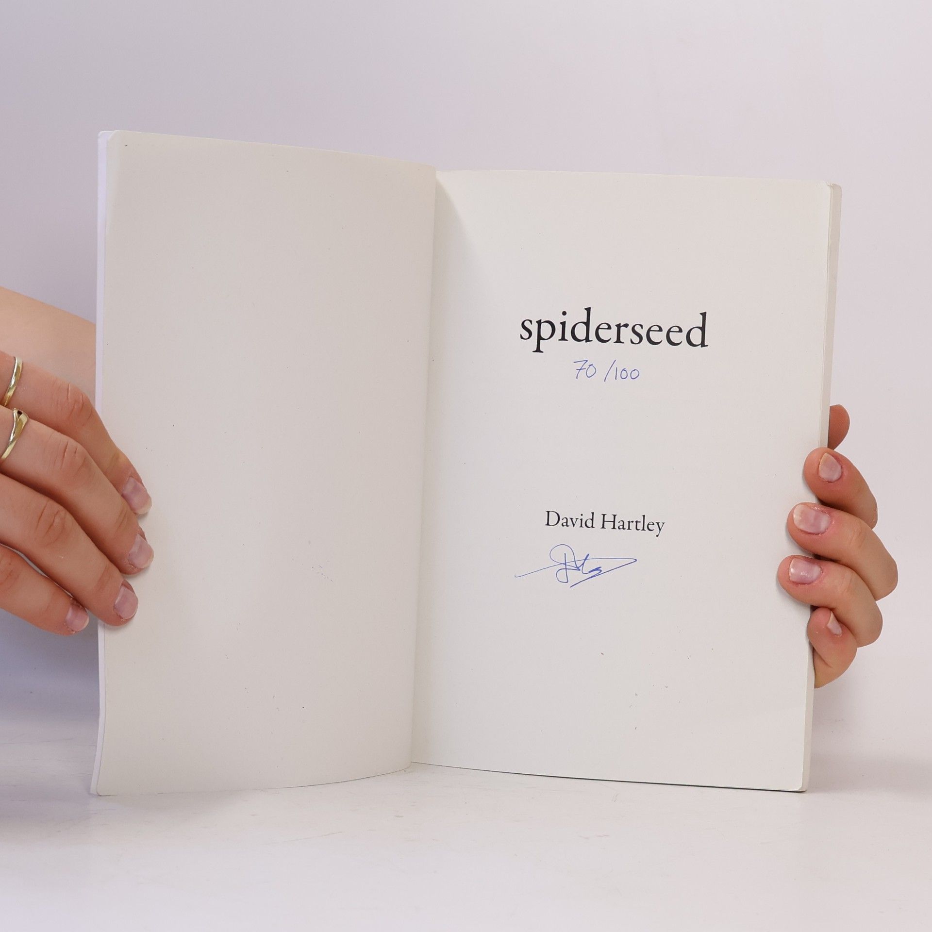 David Hartley Spiderseed