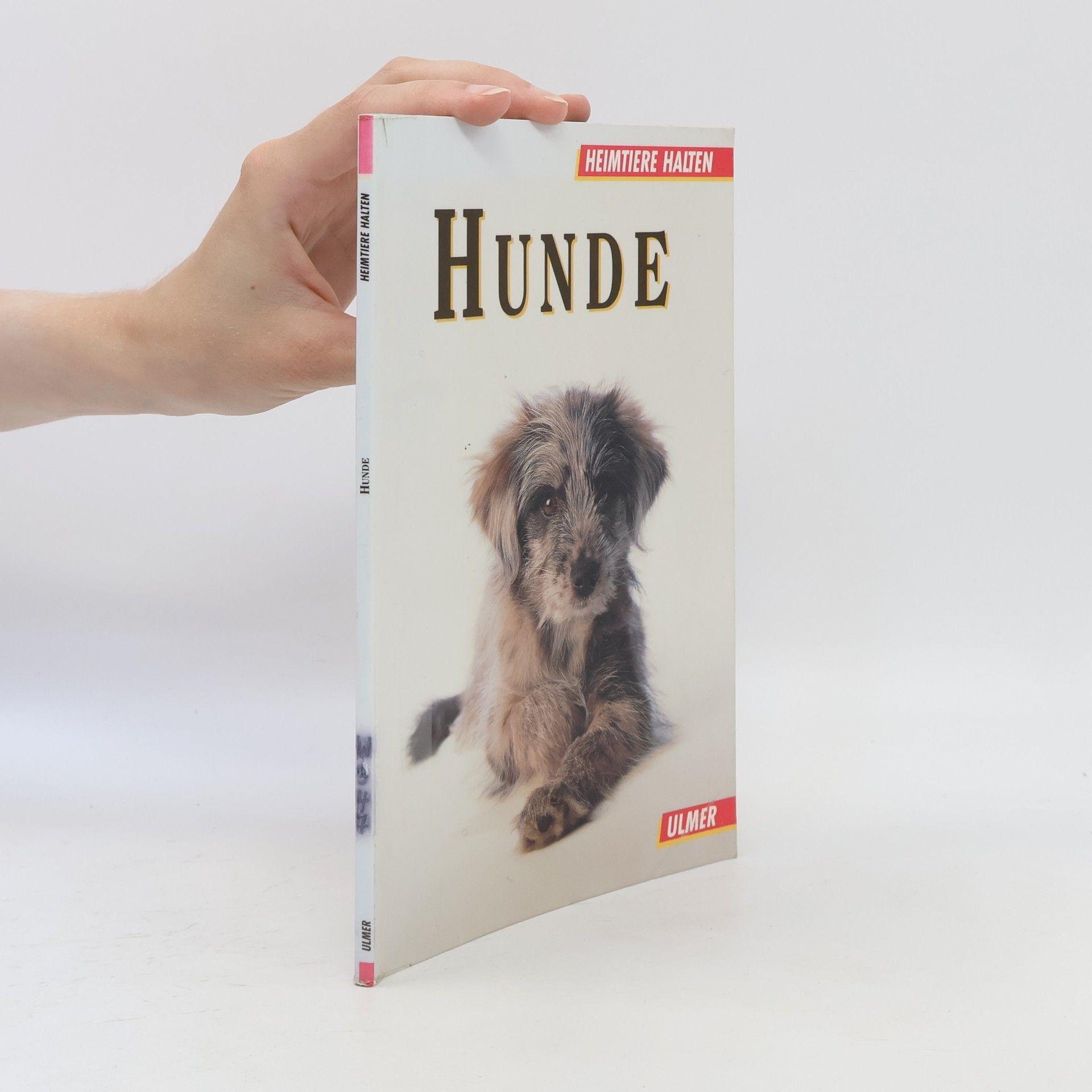Dagmar Schratter Hunde