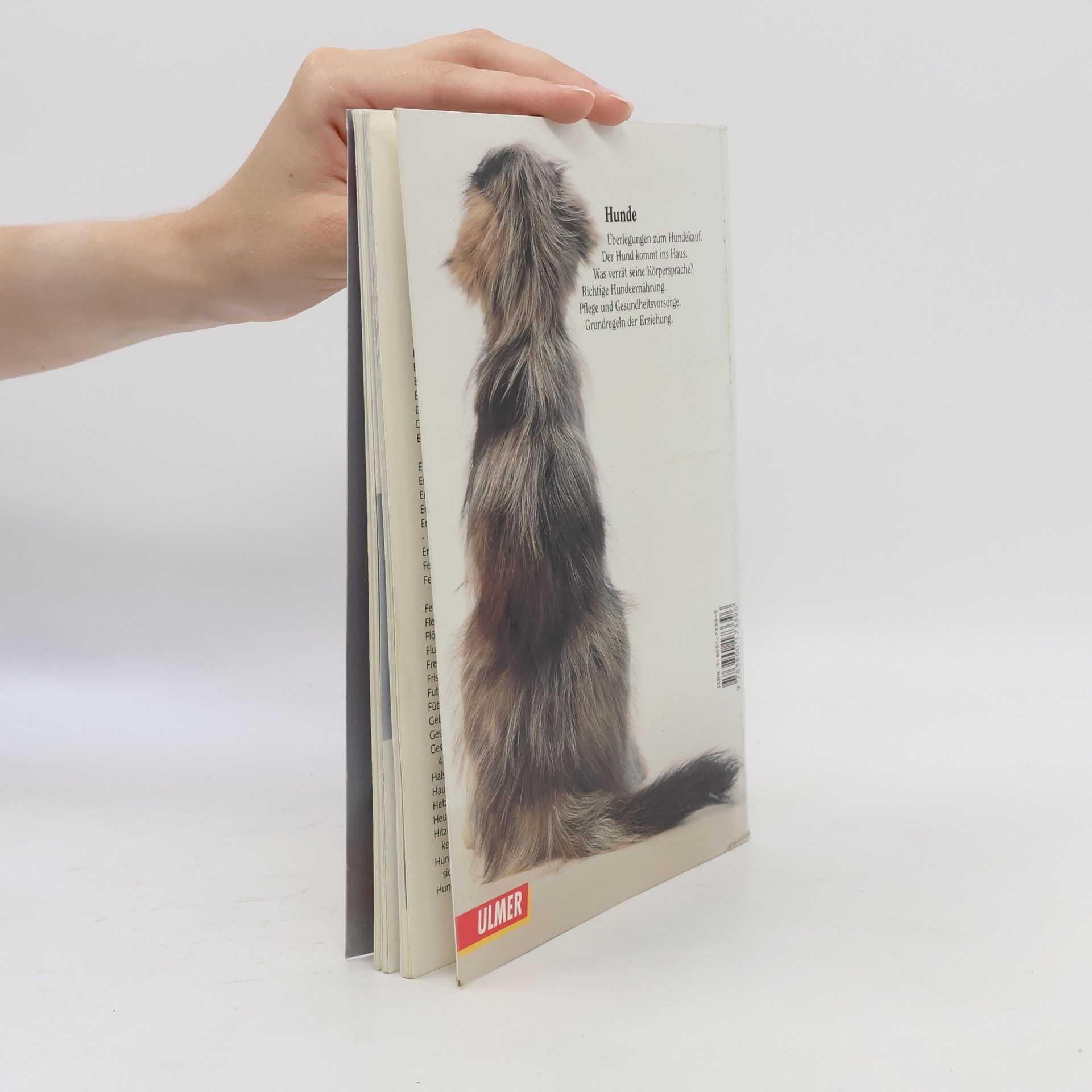 Dagmar Schratter Hunde