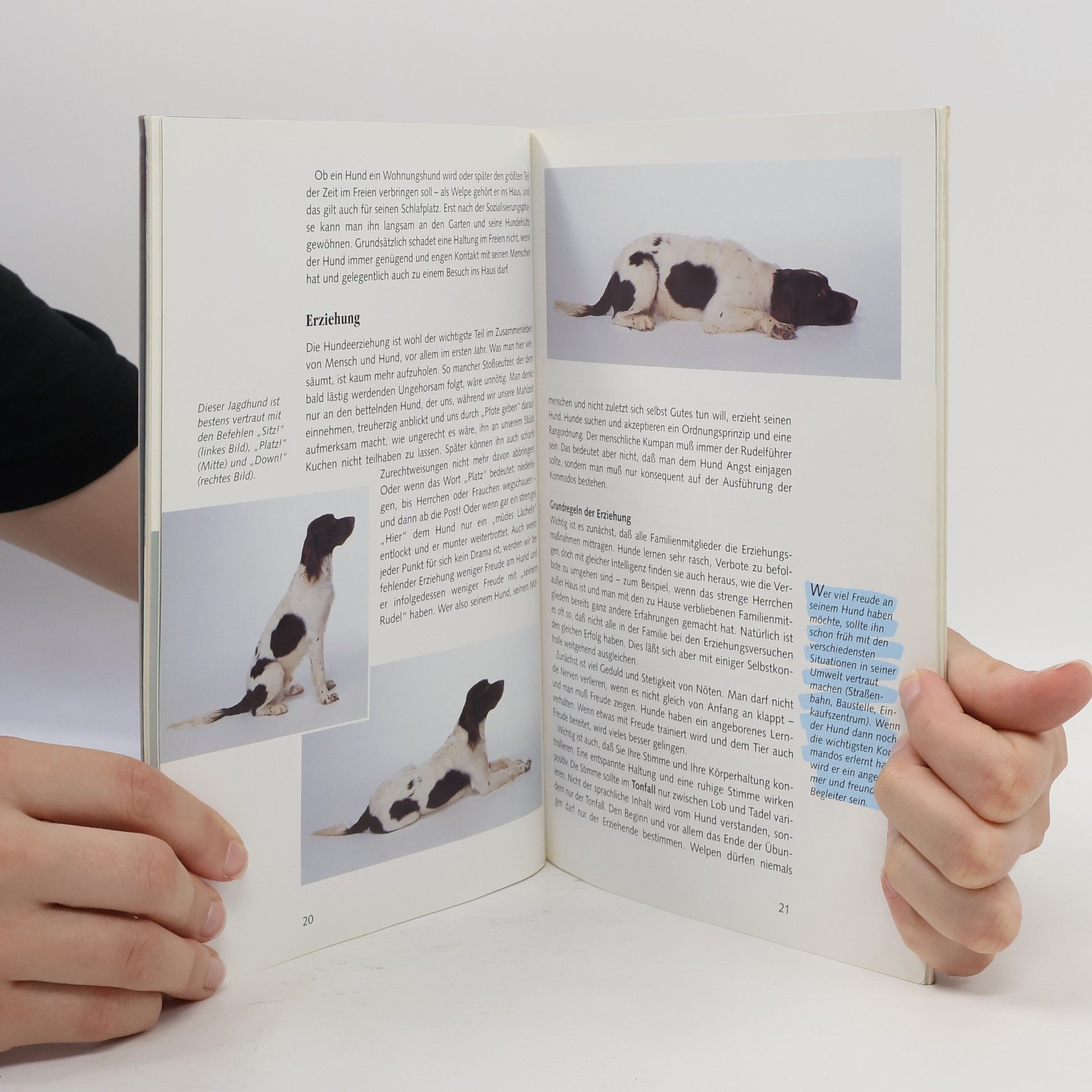Dagmar Schratter Hunde