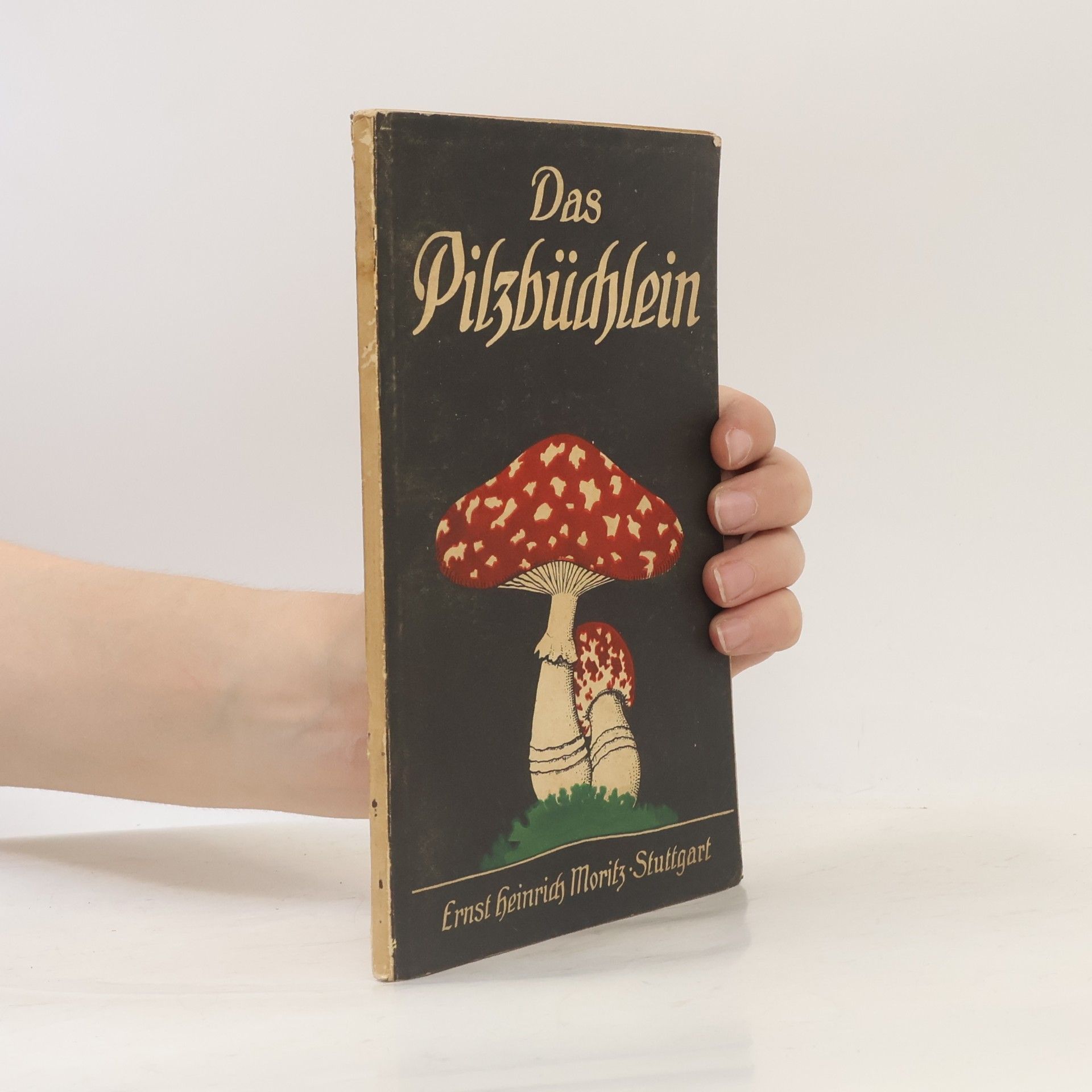 Adolf Wälde Das Pilzbüchlein für den Sammler und wandernden Naturfreund