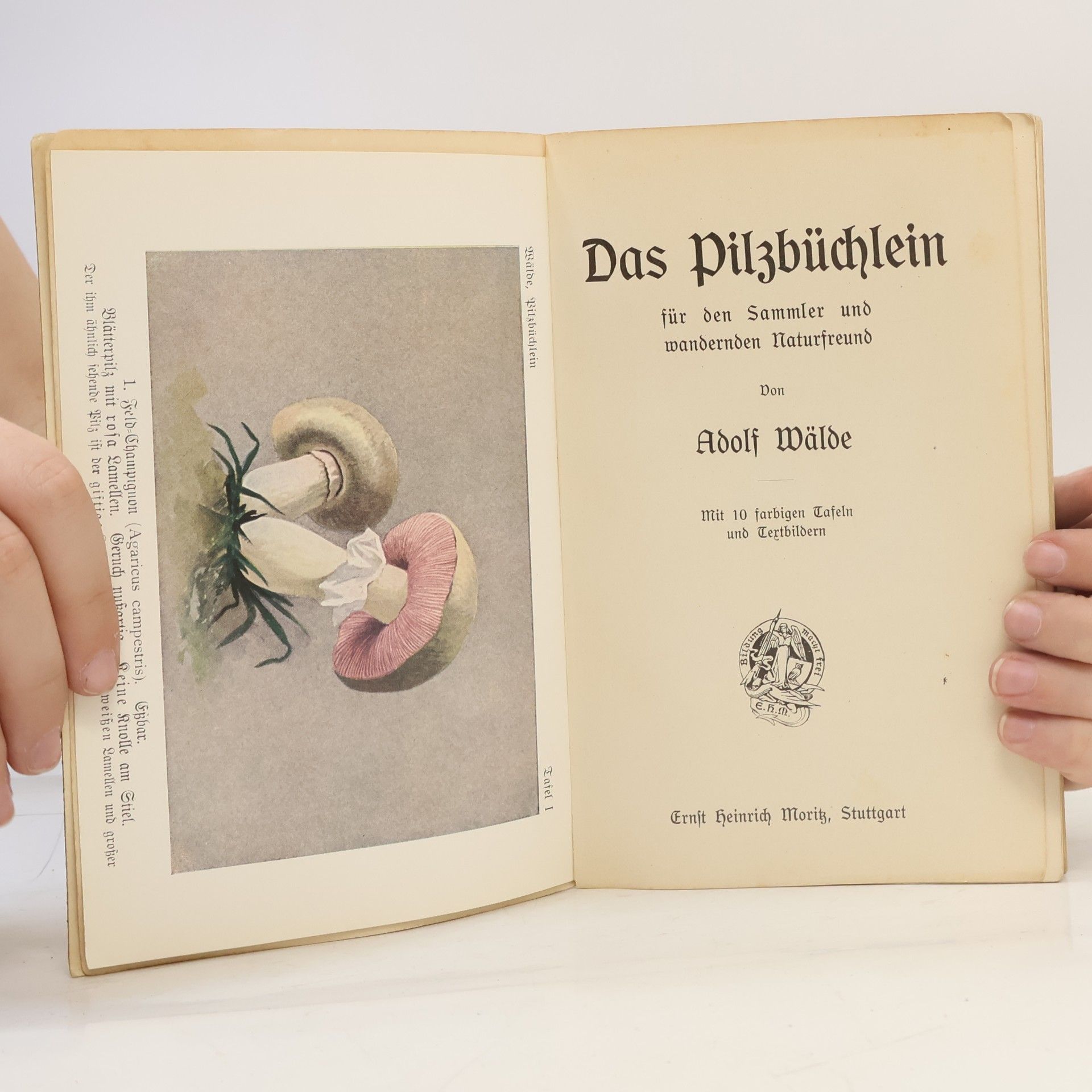 Adolf Wälde Das Pilzbüchlein für den Sammler und wandernden Naturfreund