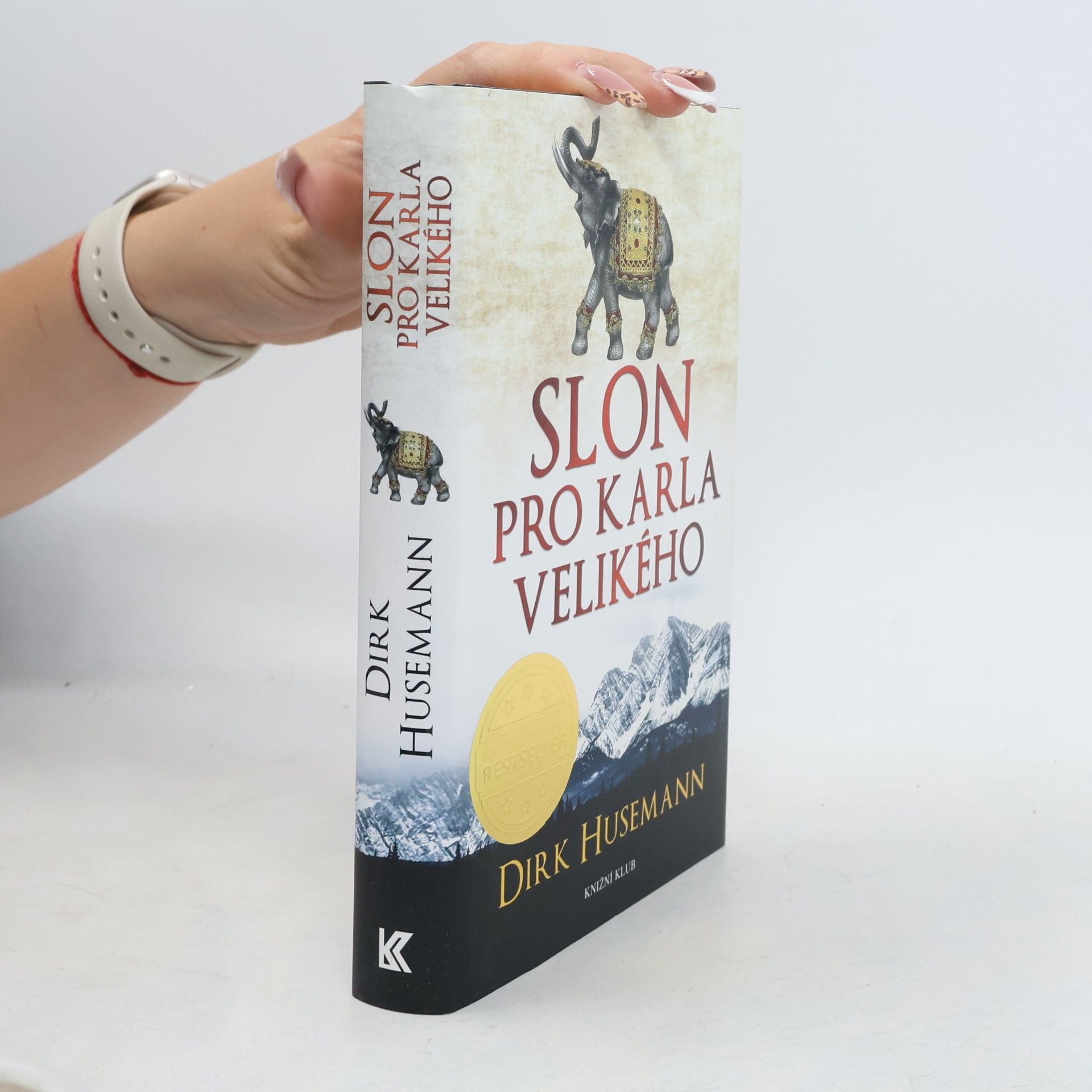 Dirk Husemann Slon pro Karla Velikého