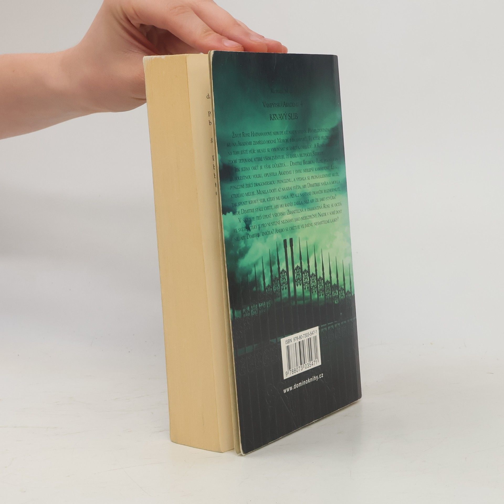 Richelle Mead Vampýrská akademie 4: Krvavý slib