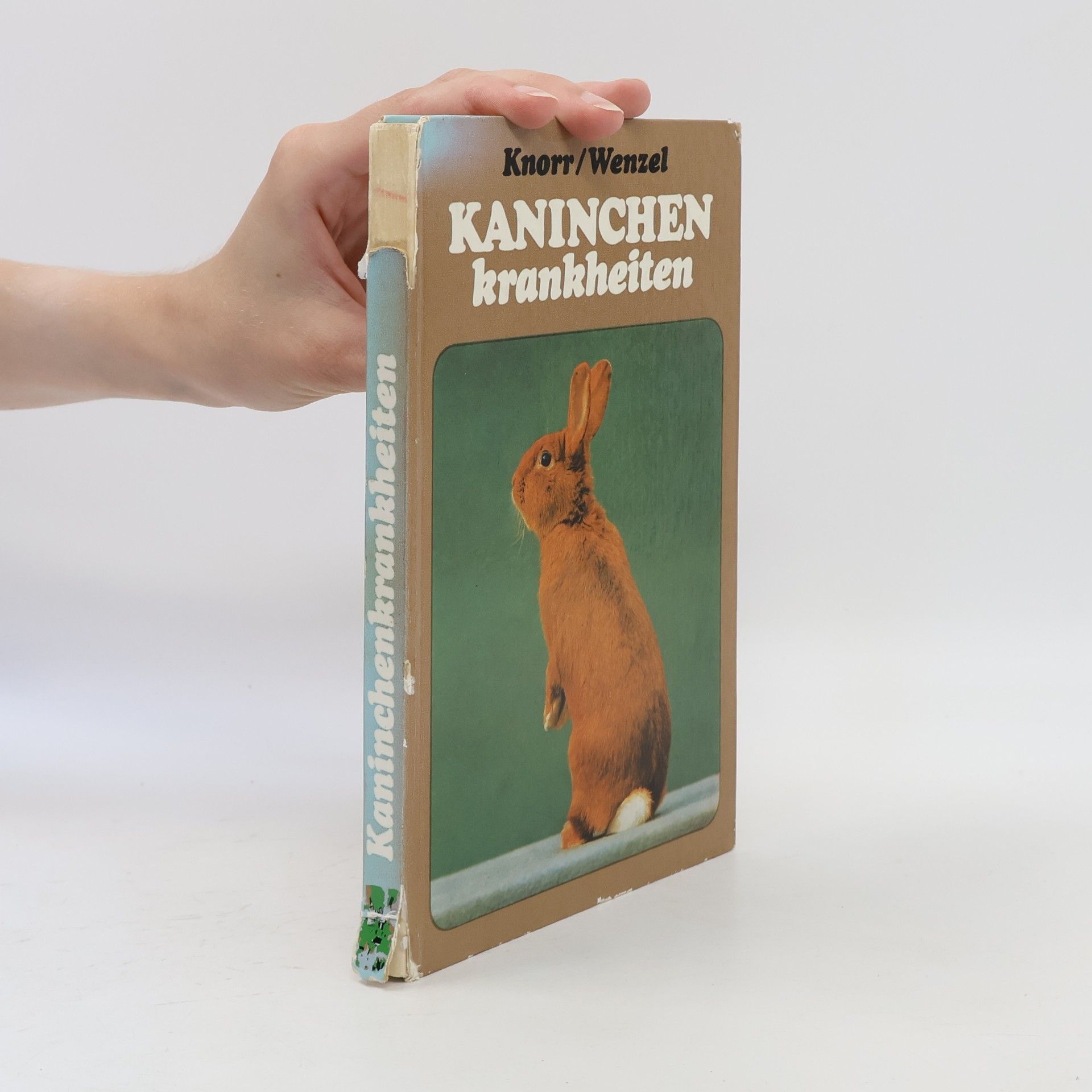 Friedhelm Knorr Kaninchen Krankheiten