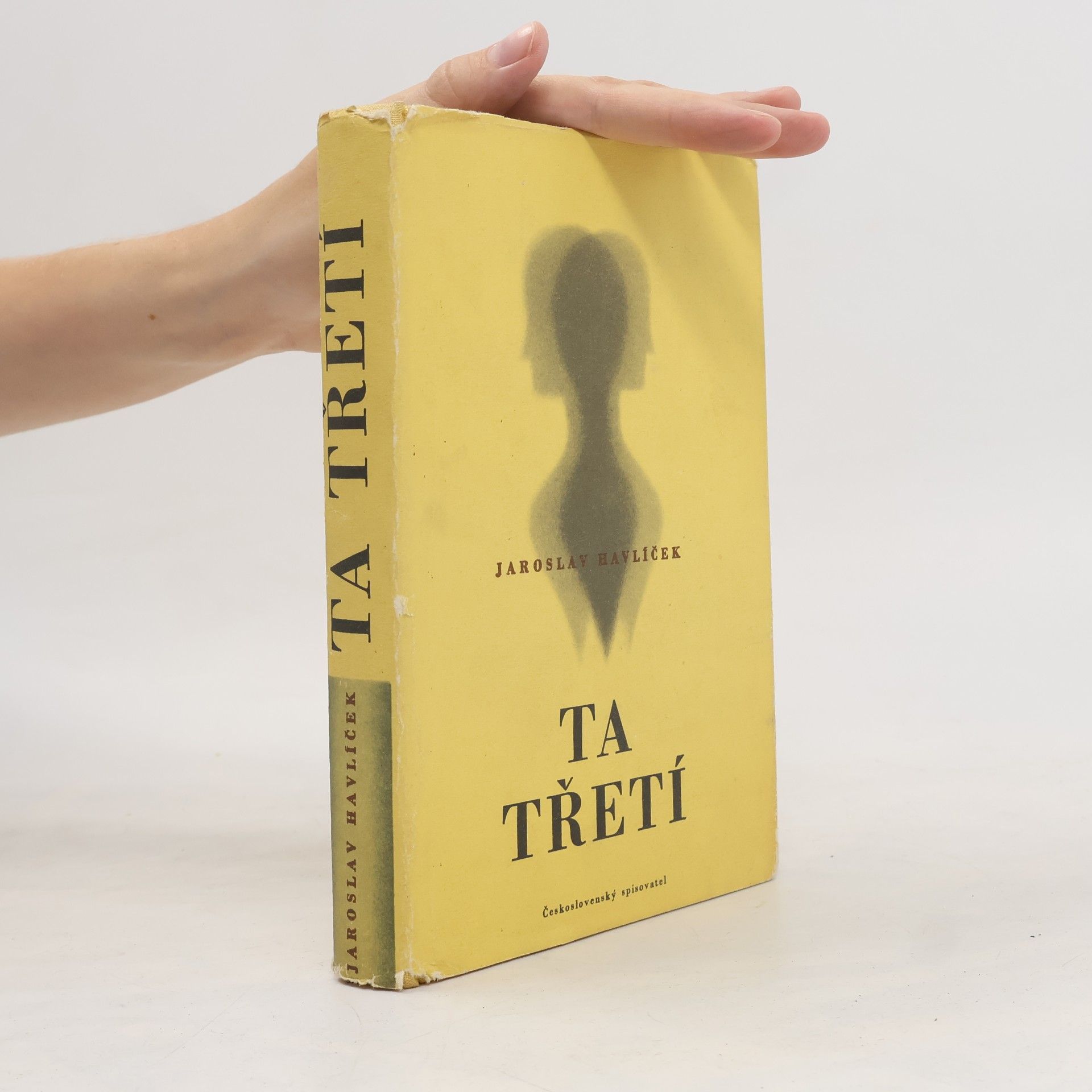 Jaroslav Havlíček Ta třetí