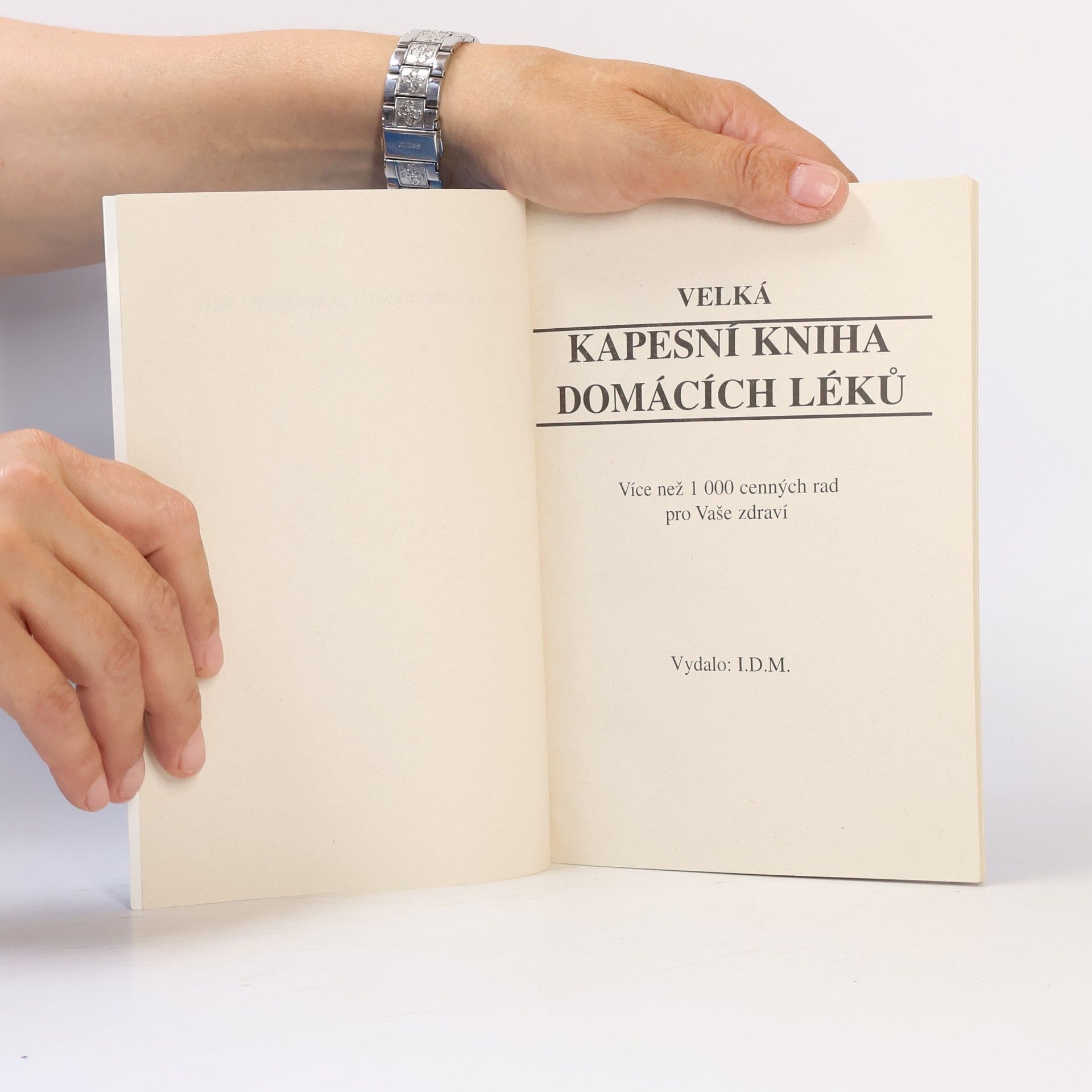 Autorenkollektiv Velká kapesní kniha domácích léků