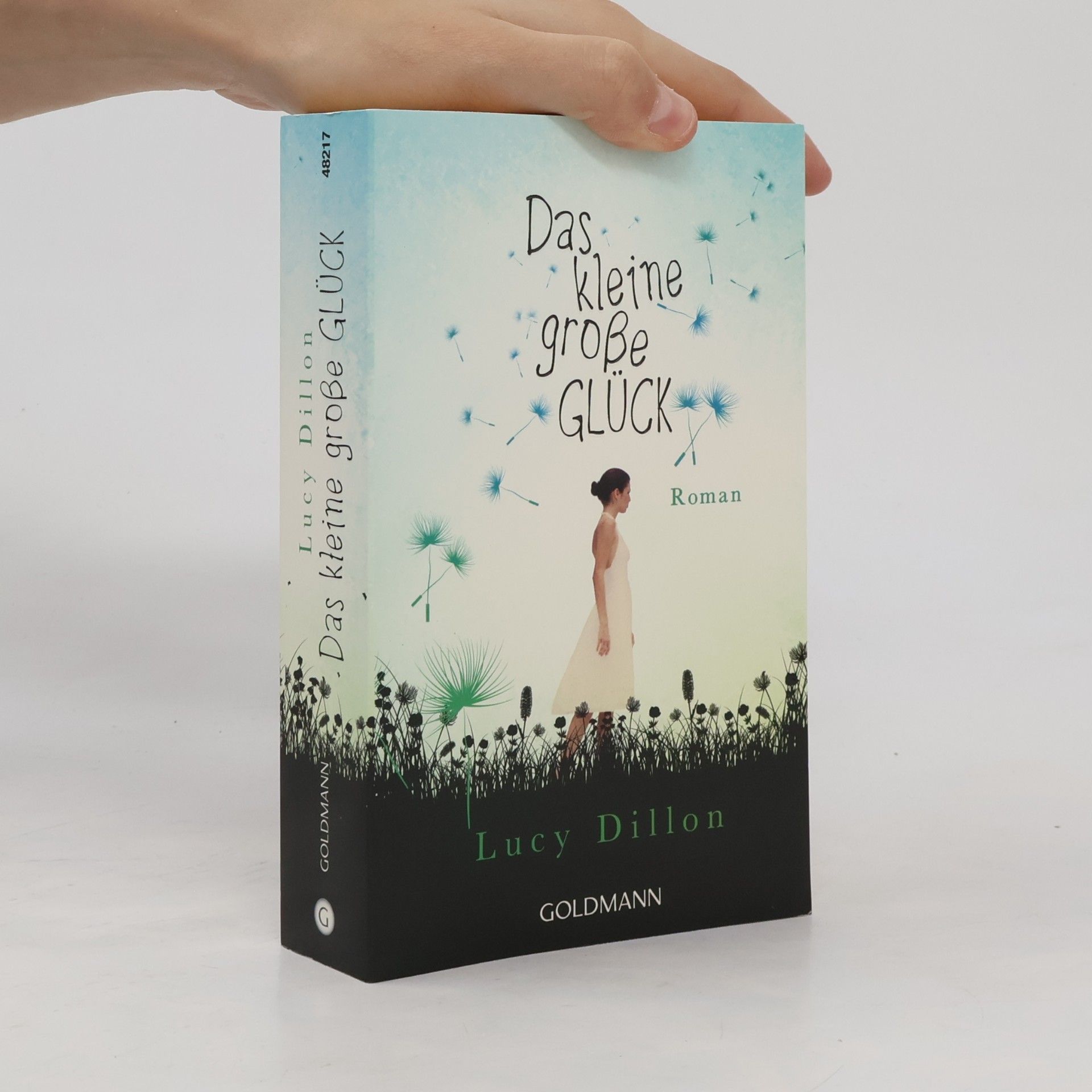 Lucy Dillon Das kleine große Glück