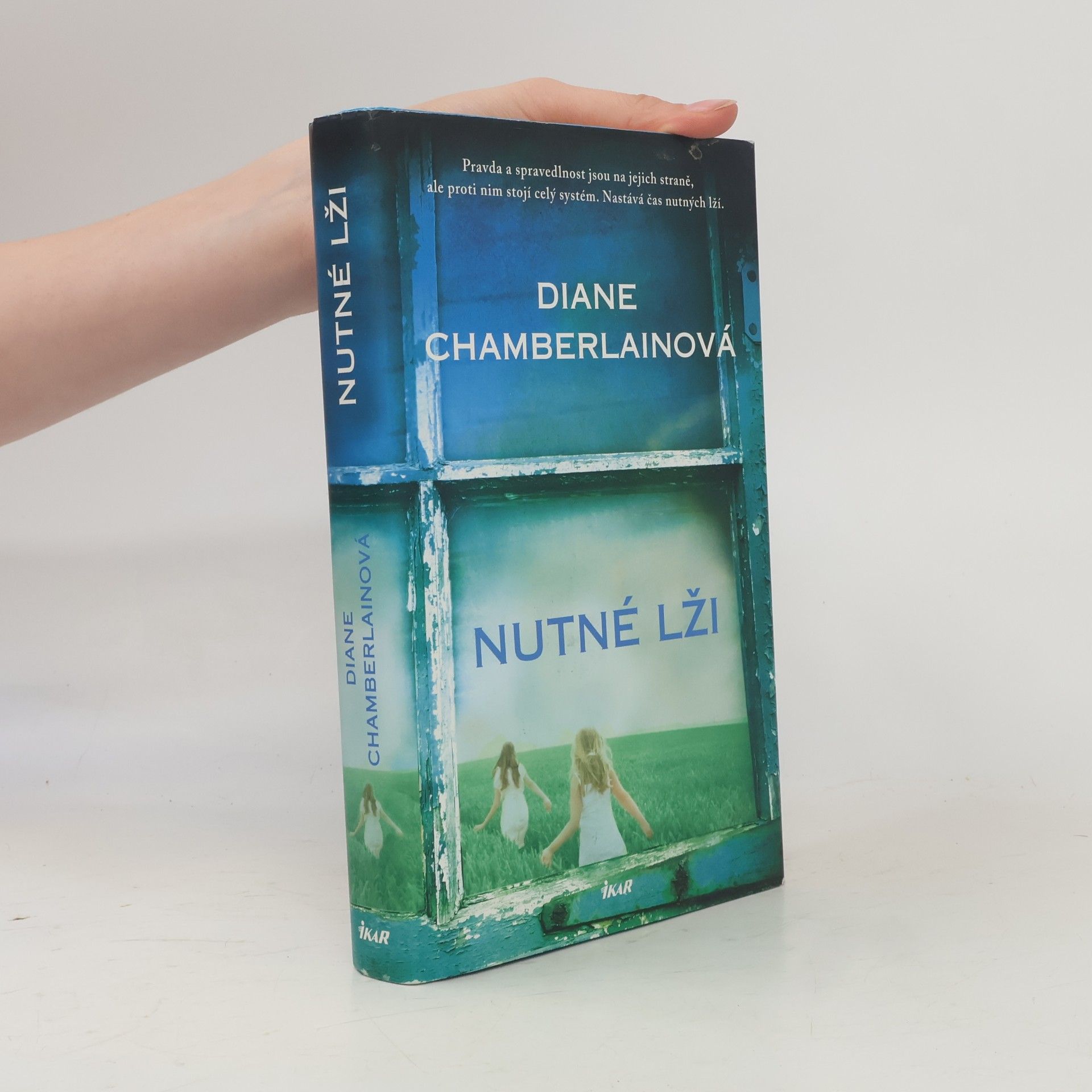 Diane Chamberlain Nutné lži