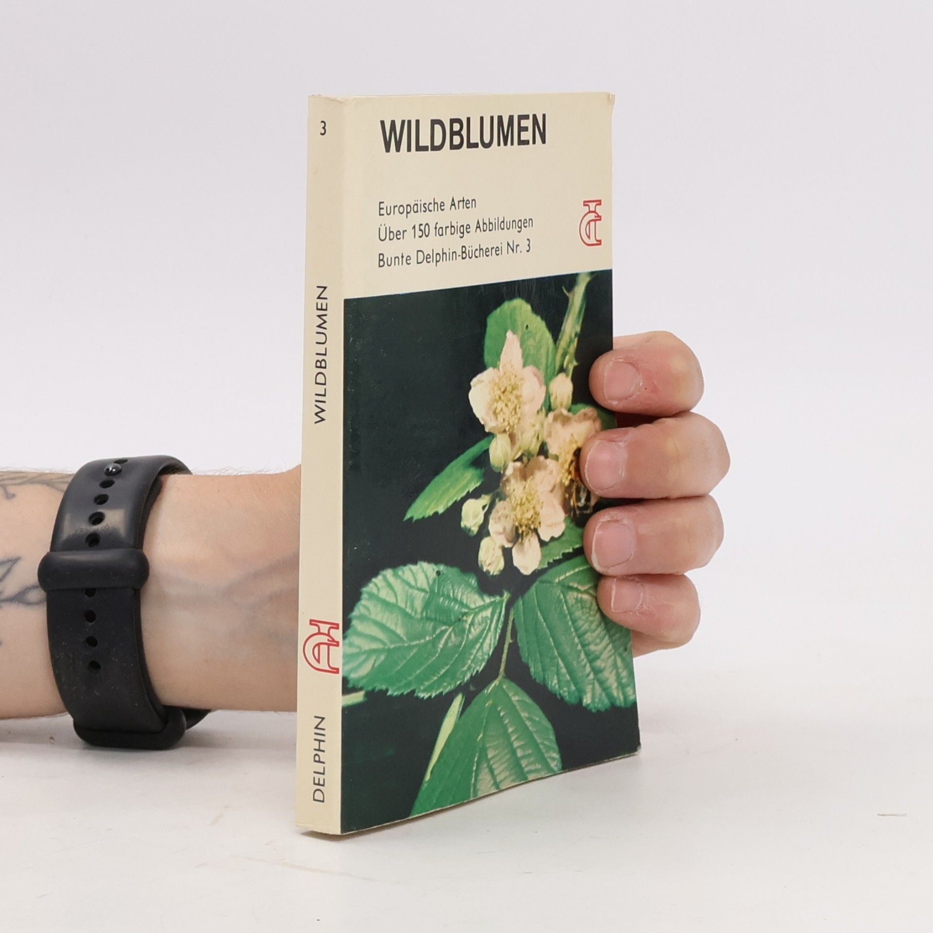 Collectif d'auteurs Wildblumen 3