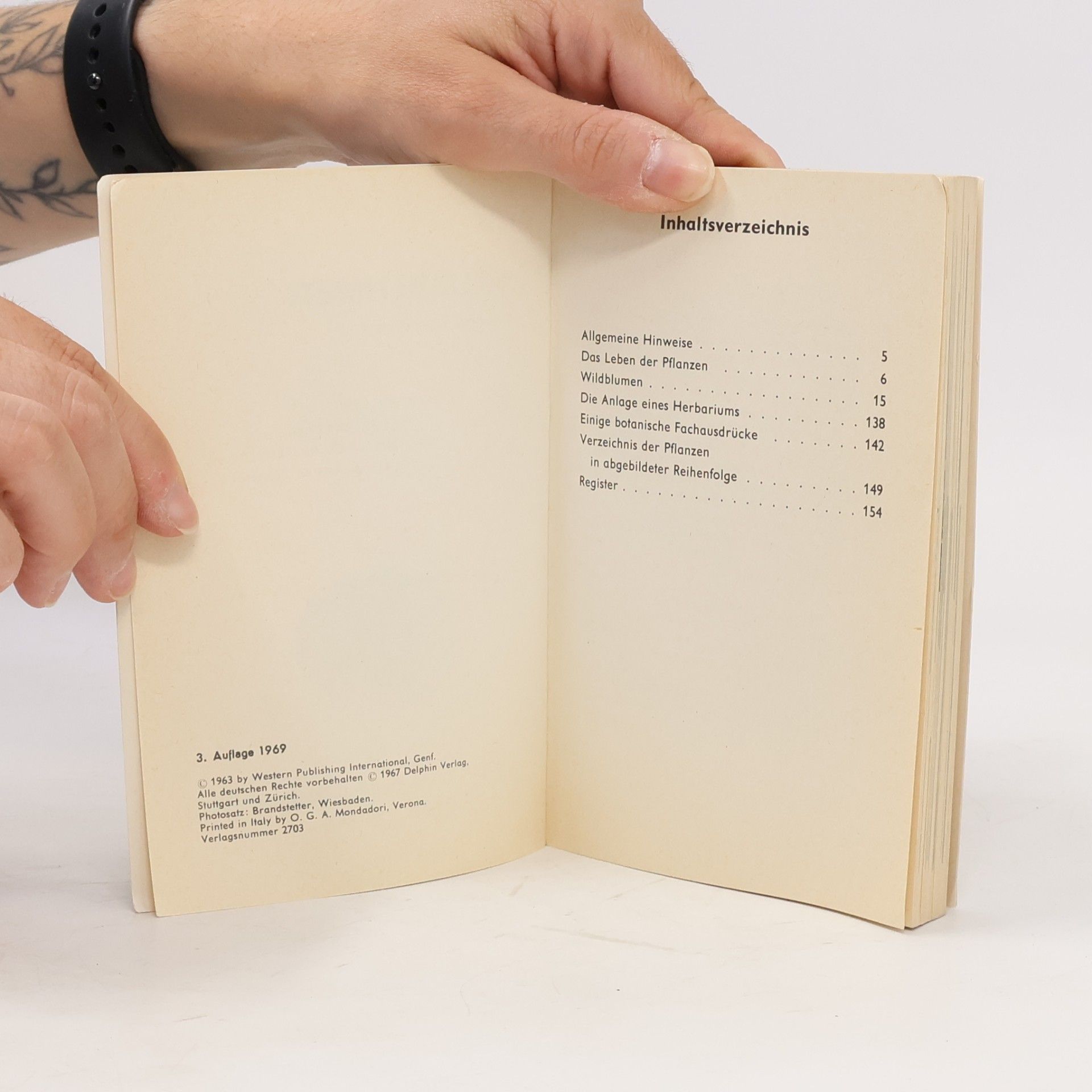 Collectif d'auteurs Wildblumen 3