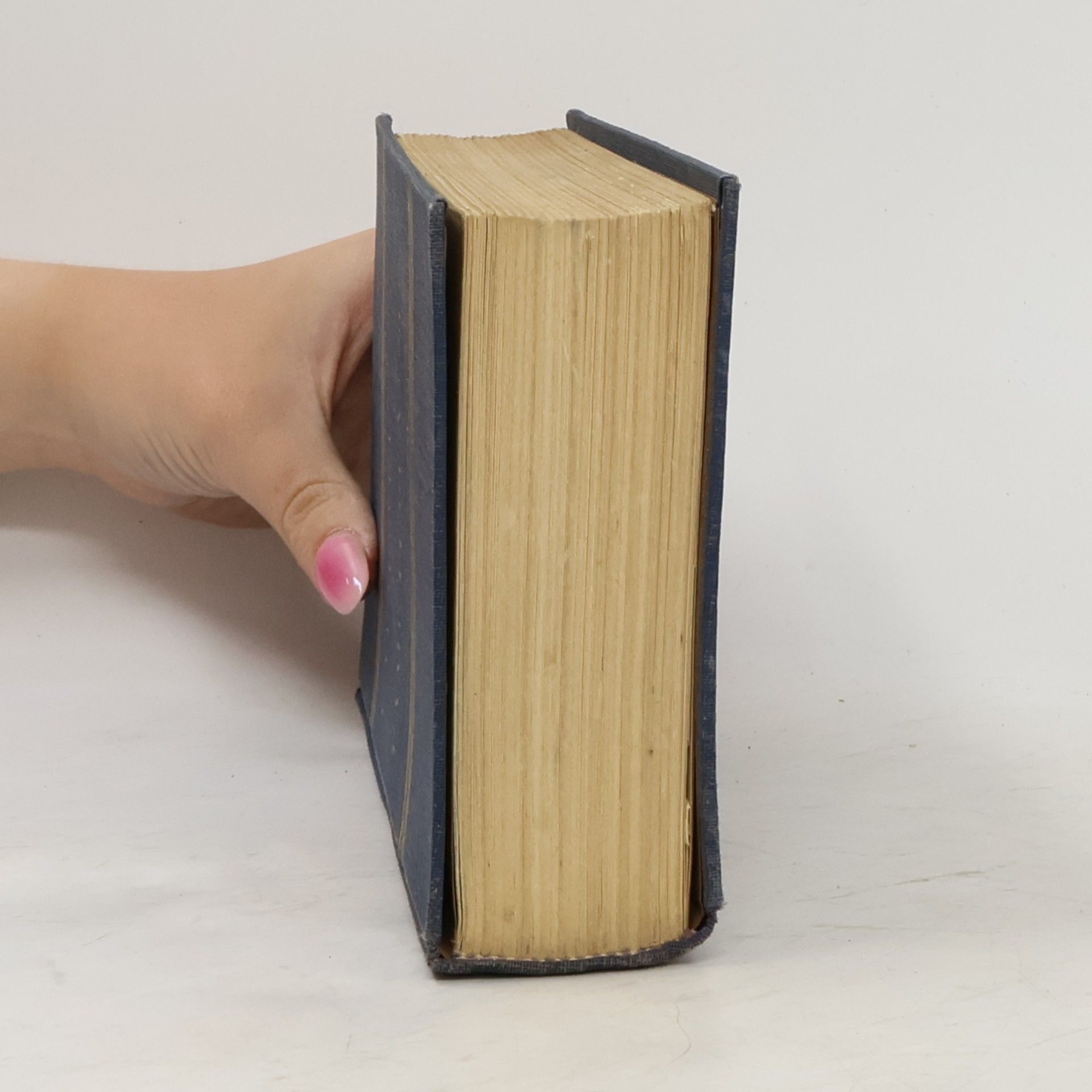 Gustave Flaubert Paměti bláznovy ; Smarh ; Listopad