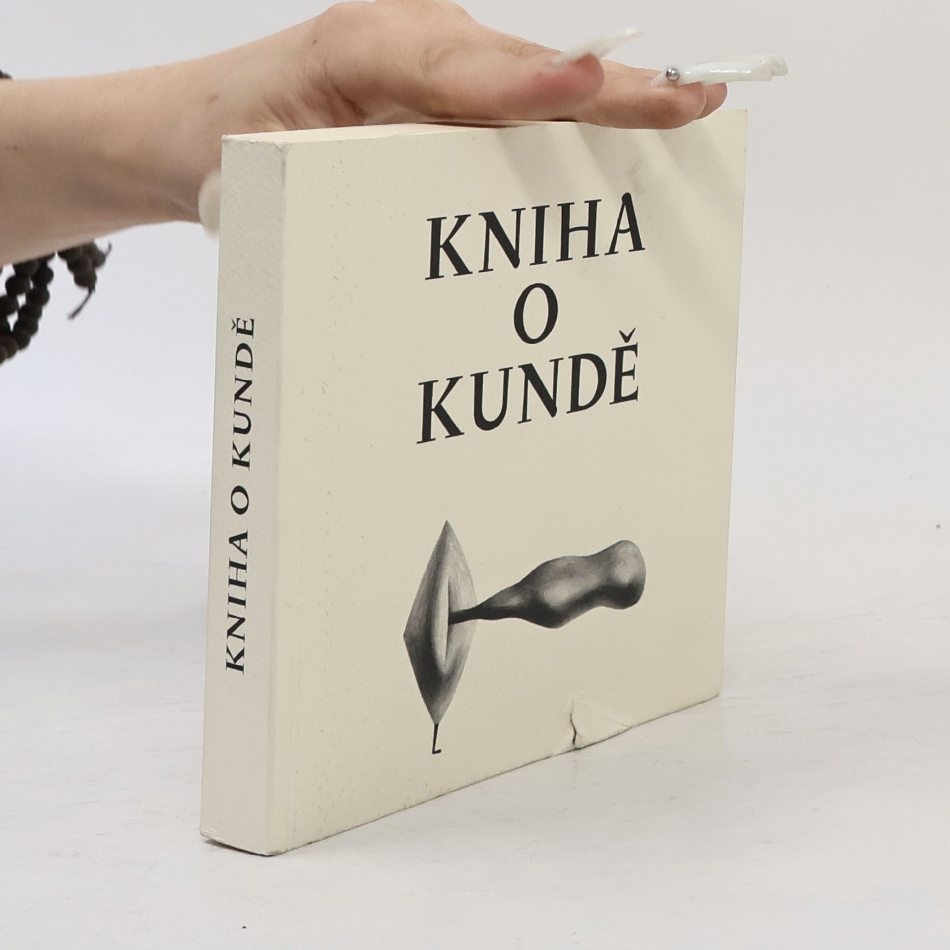 Nela D. Aston Kniha o kundě