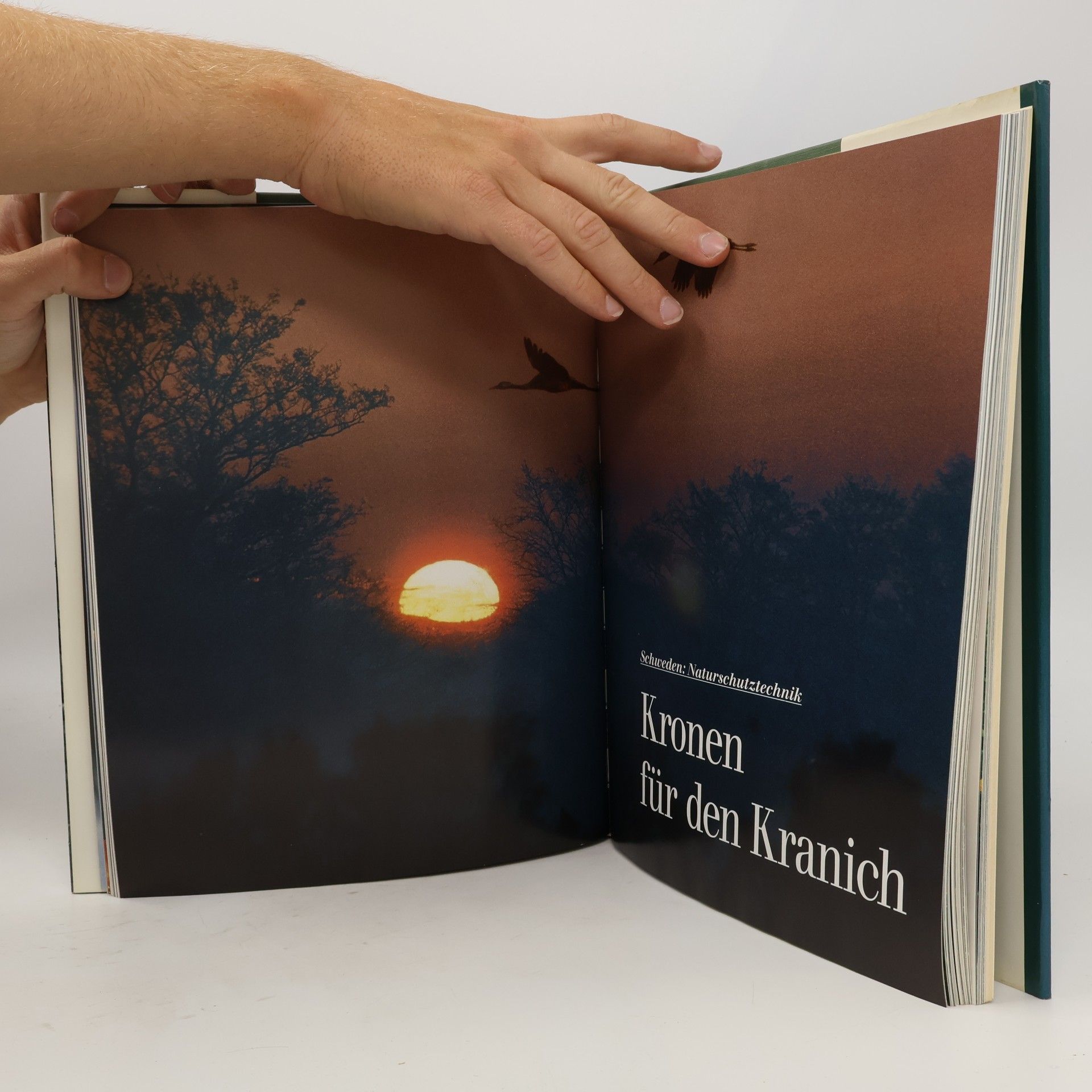 Claus-Peter Lieckfeld Naturerbe Europa. Alte Welt - Neue Chancen