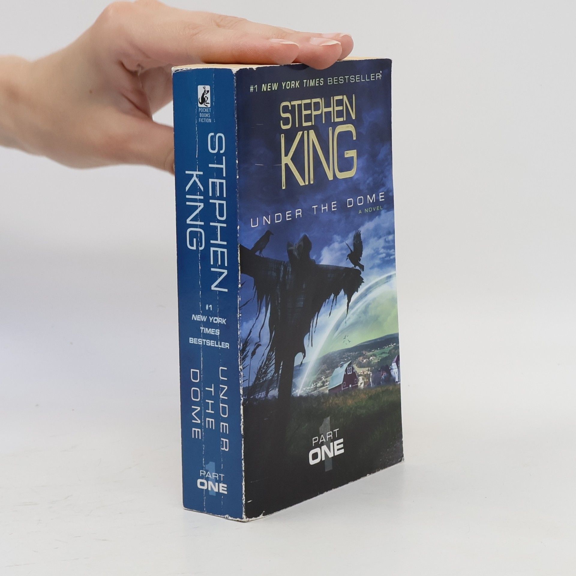 Stephen King Under the Dome: Part 1