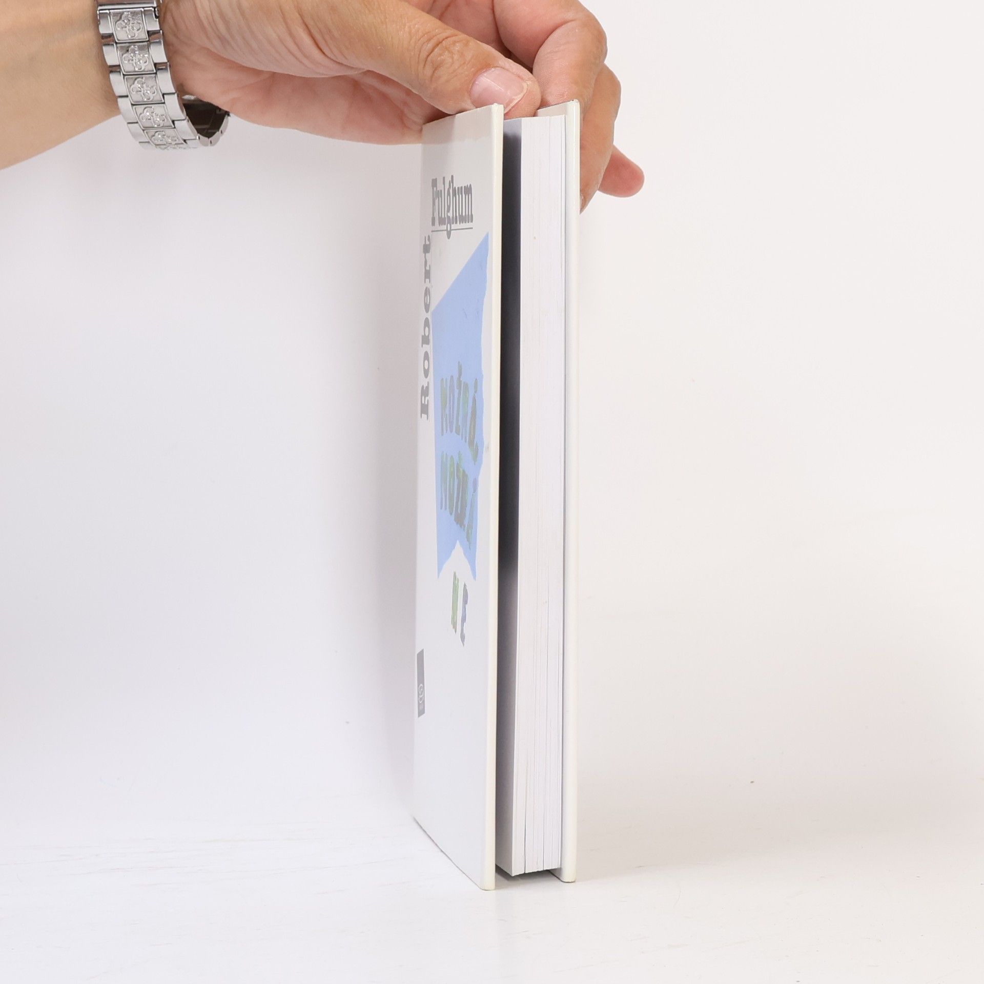 Robert Fulghum Možná, možná ne. Nápady z vnitřního světa