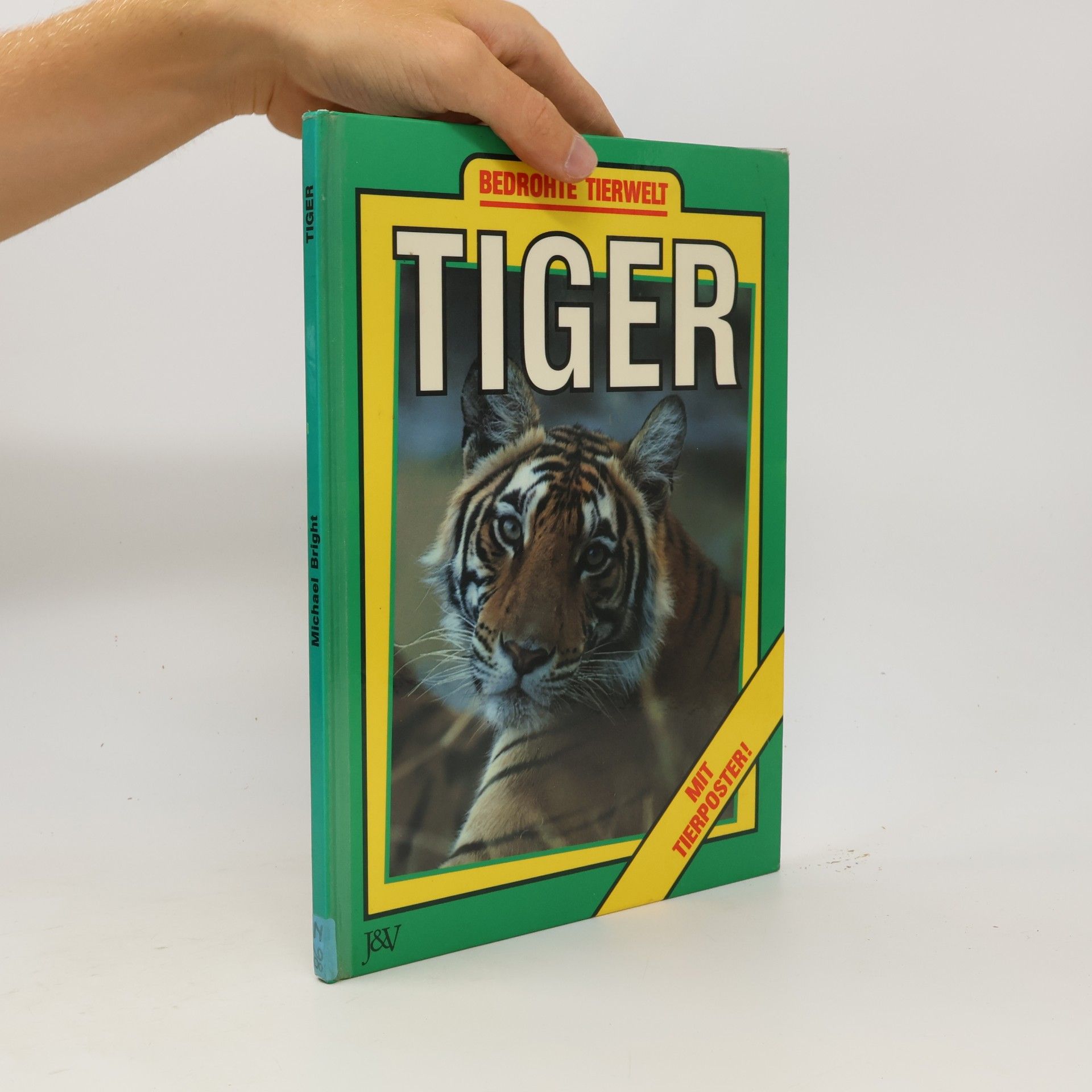 Michael Bright Tiger