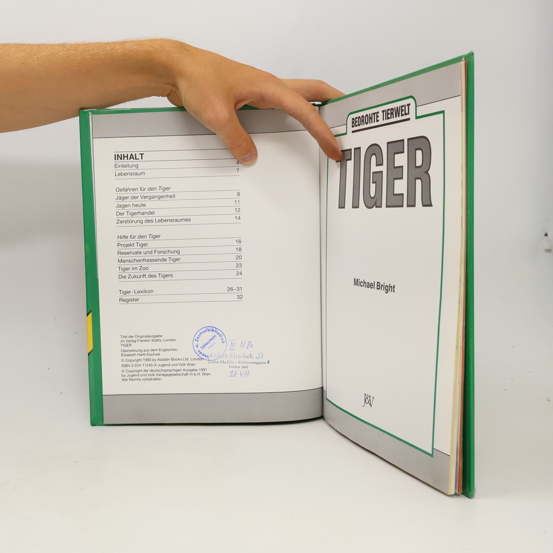 Michael Bright Tiger