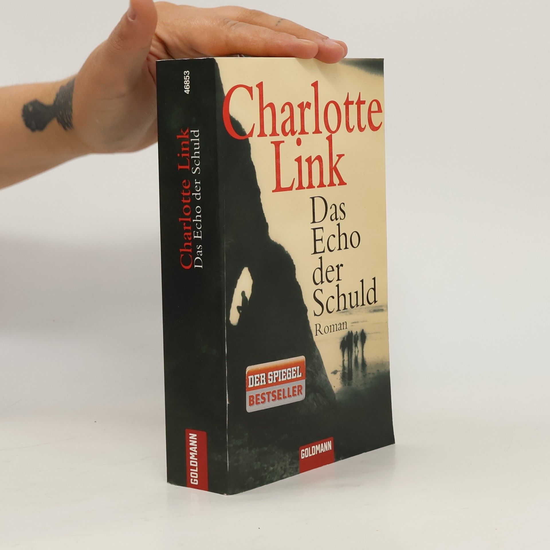 Charlotte Link Das Echo der Schuld
